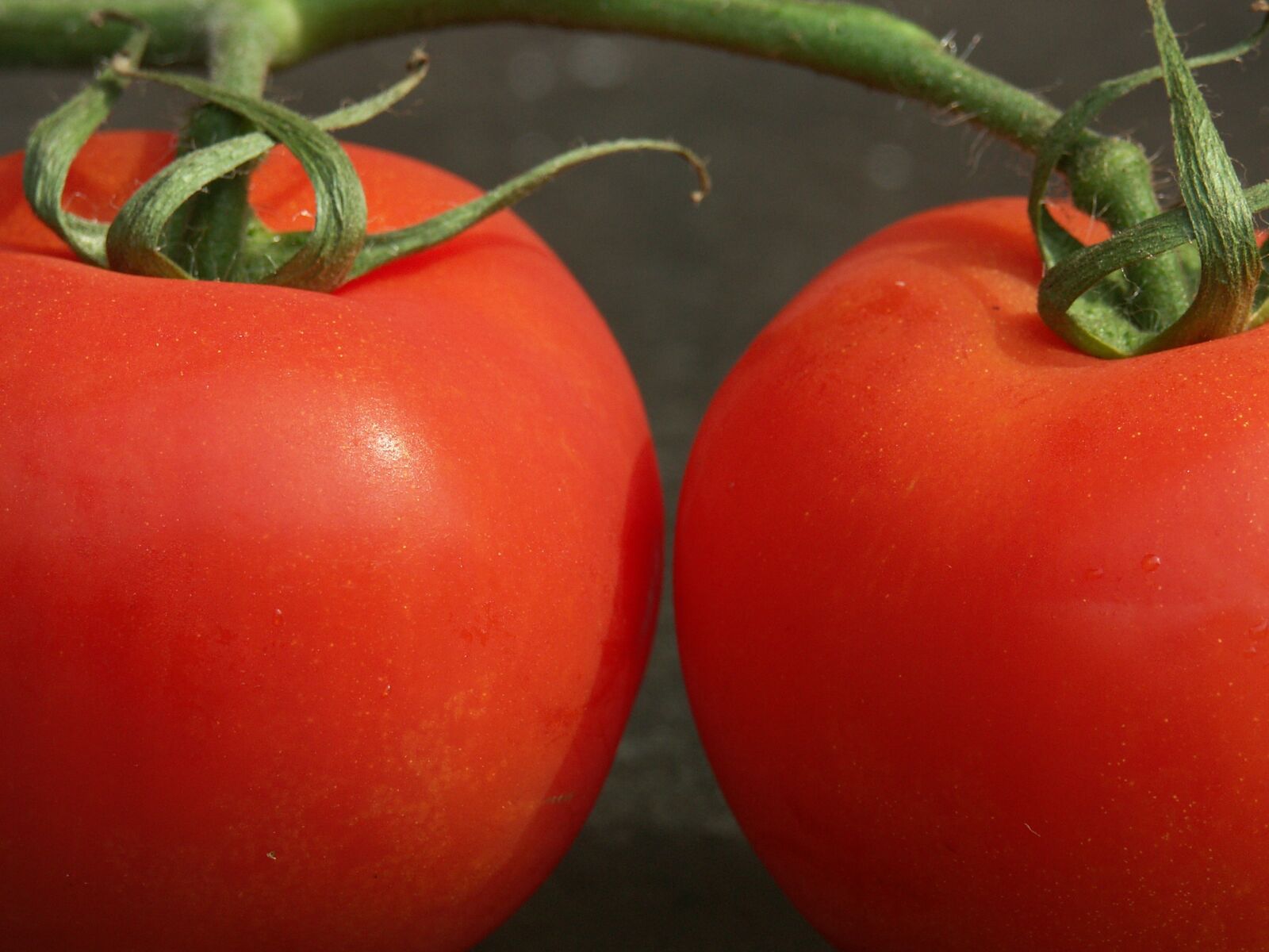 KONICA MINOLTA DiMAGE A1 sample photo. Food, products, vegetable photography