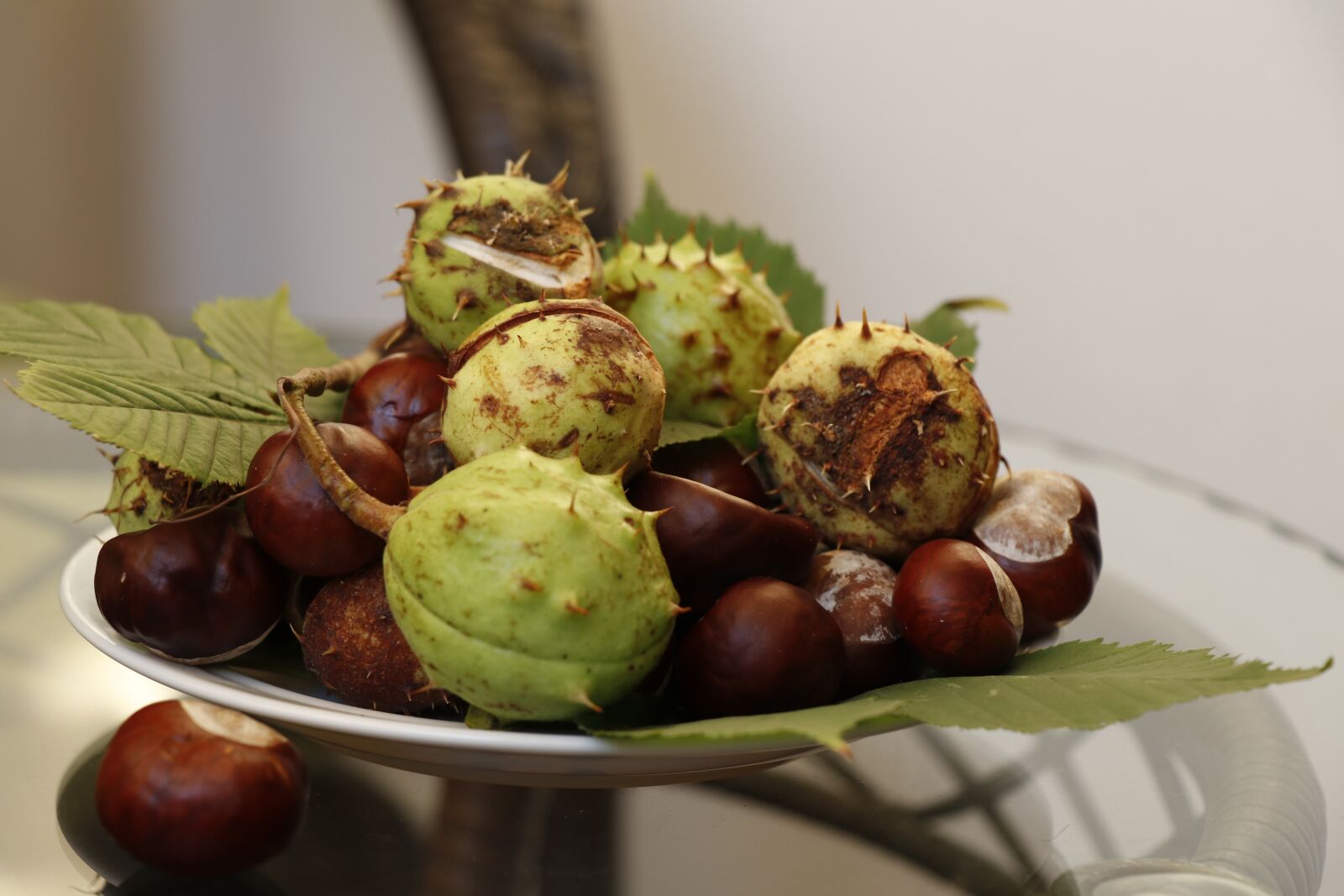 Canon EF-S 18-135mm F3.5-5.6 IS USM sample photo. Chestnuts, fruit, green photography