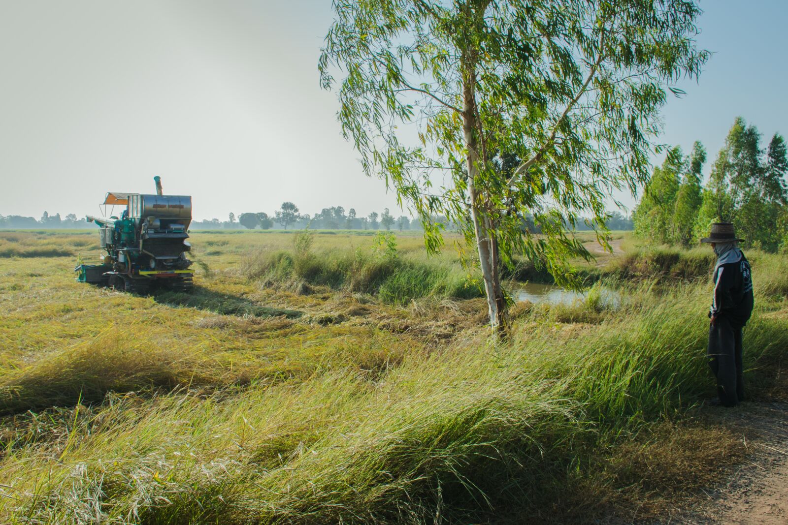 Nikon D5300 sample photo. Agriculture, the industry, the photography