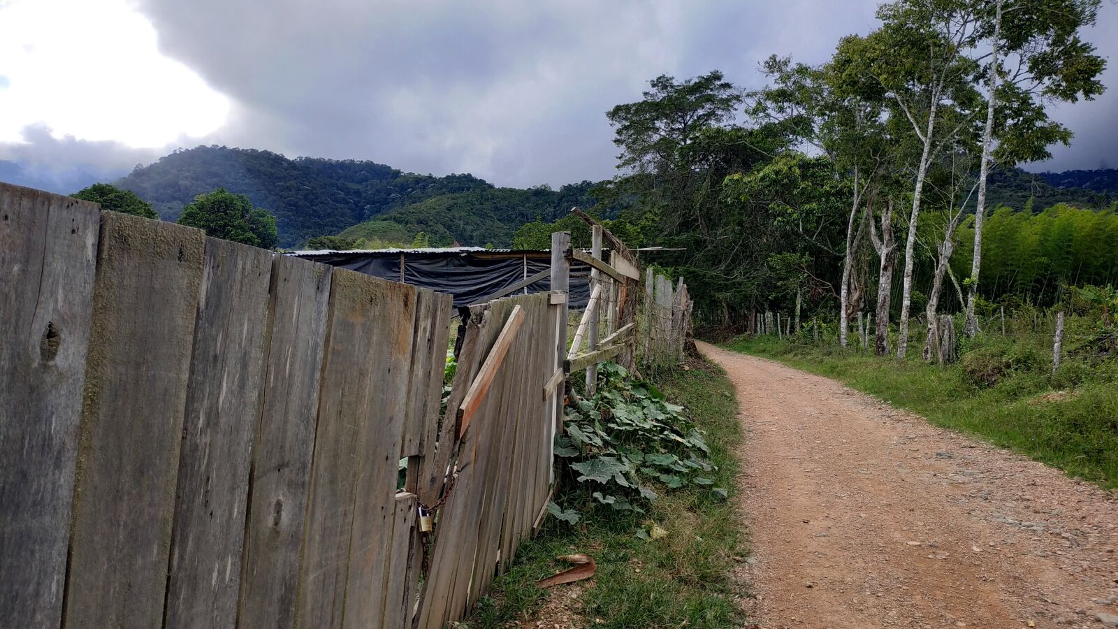 Xiaomi Redmi Note 5 sample photo. Path, sidewalk, colombia photography