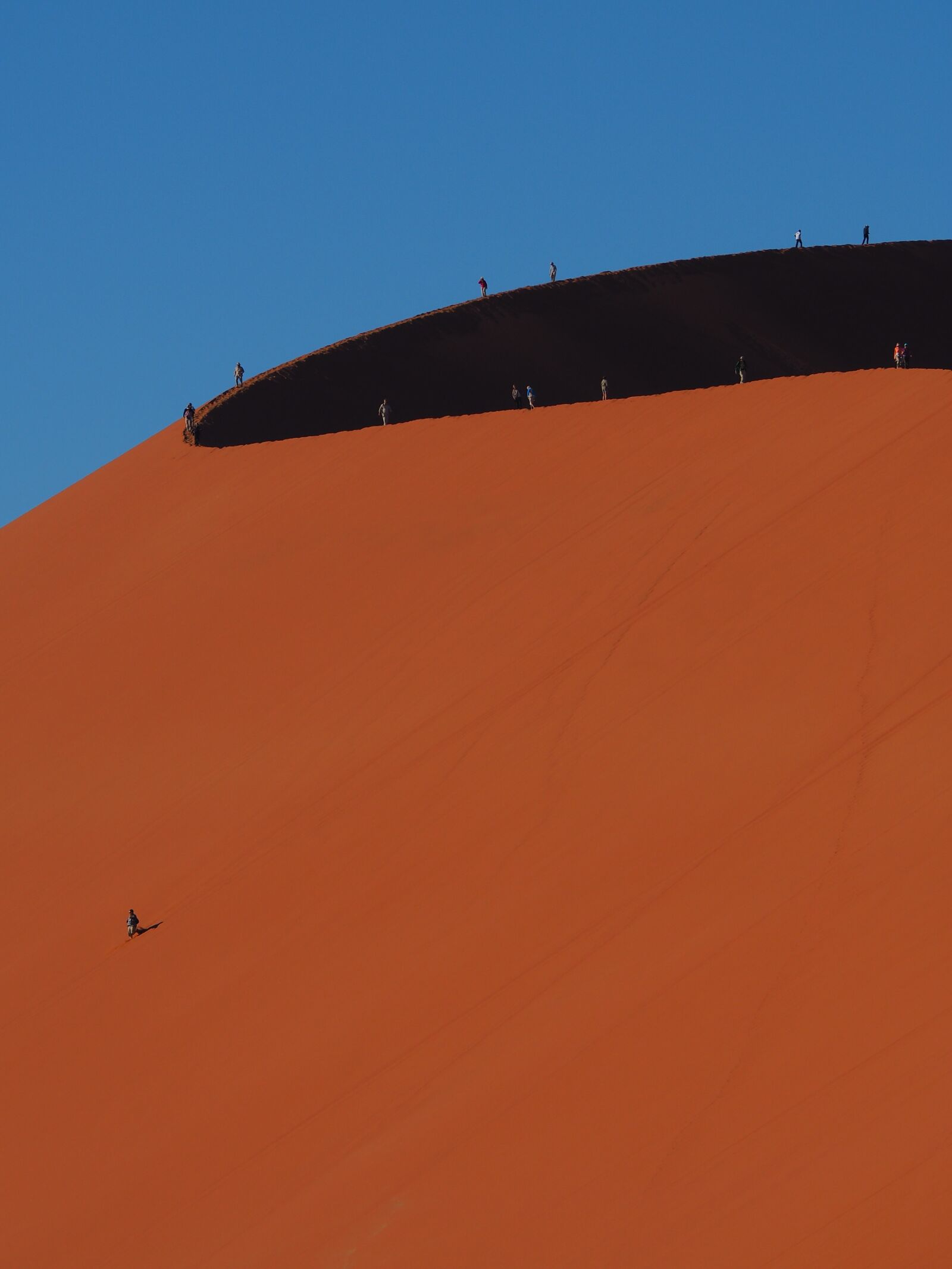 Olympus OM-D E-M10 sample photo. Dune, namibia, sossusvlei photography
