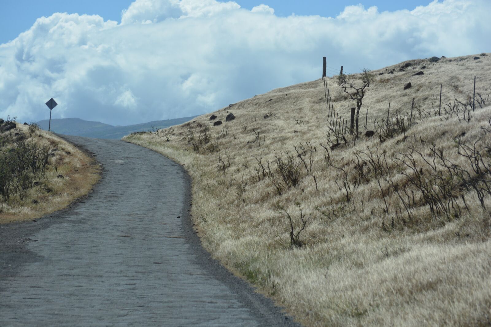 Nikon D5200 sample photo. Road, hawaii, island photography