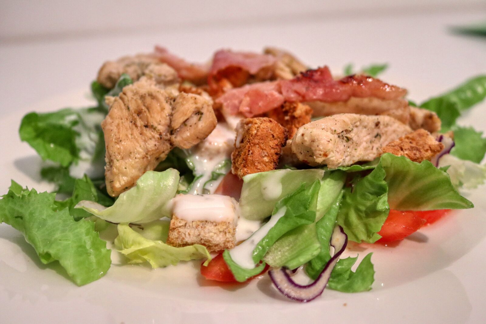 Canon EOS 80D sample photo. Meat, turkey, salad photography