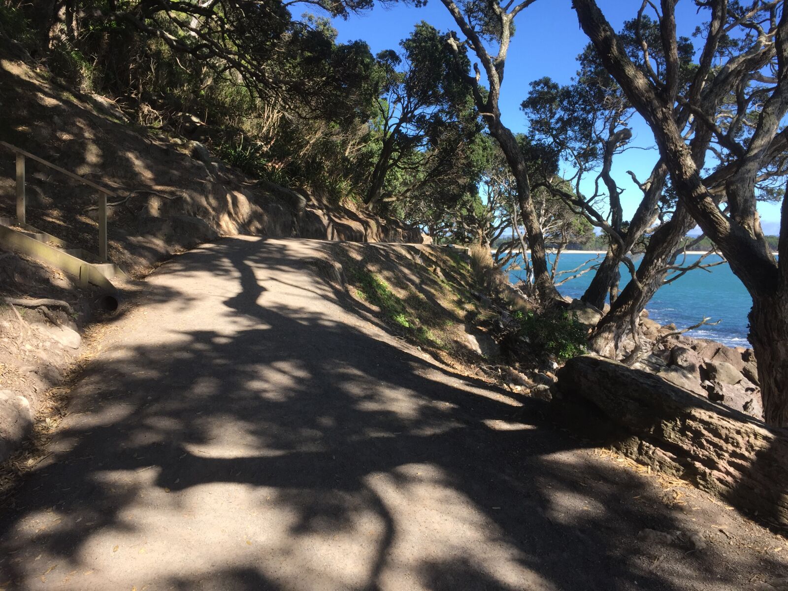 iPhone 6 Plus back camera 4.15mm f/2.2 sample photo. Mountainside, path, shade, walk photography