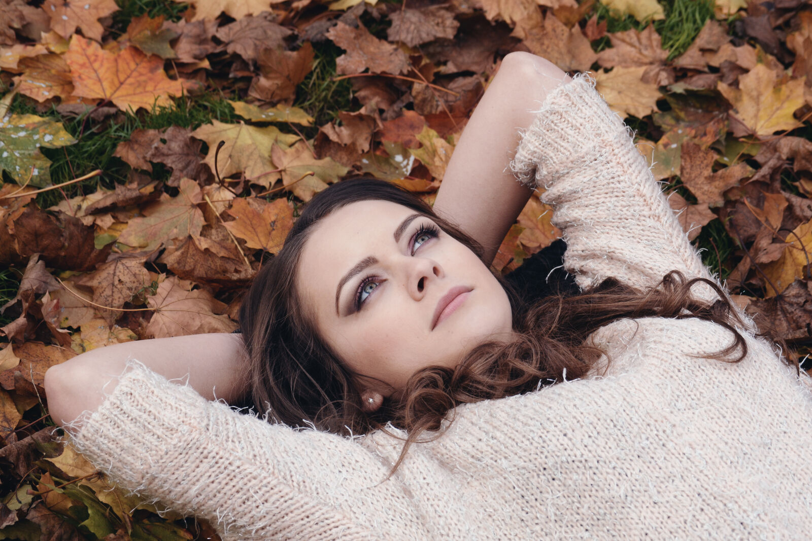 Nikon D3100 sample photo. Attractive, autumn, autumn, park photography