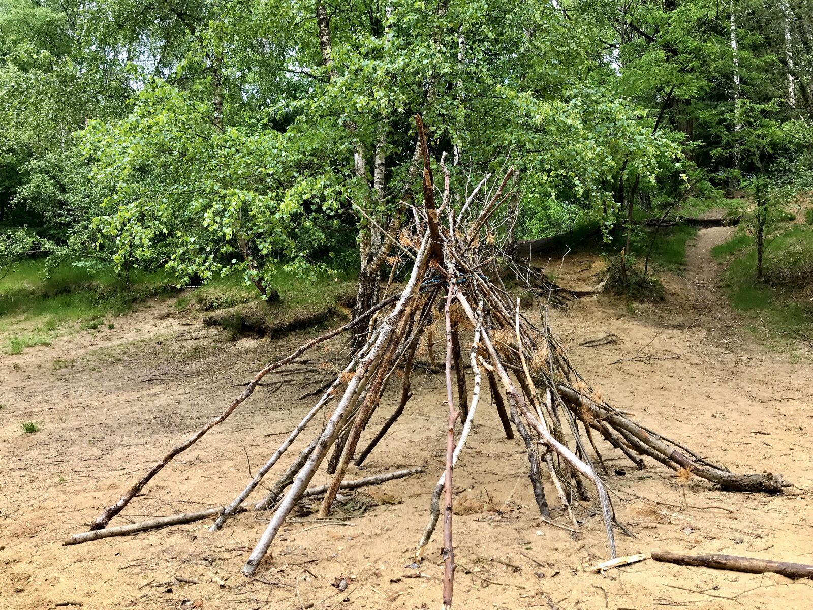 iPhone 7 back camera 3.99mm f/1.8 sample photo. Tipi, forest, shelter photography