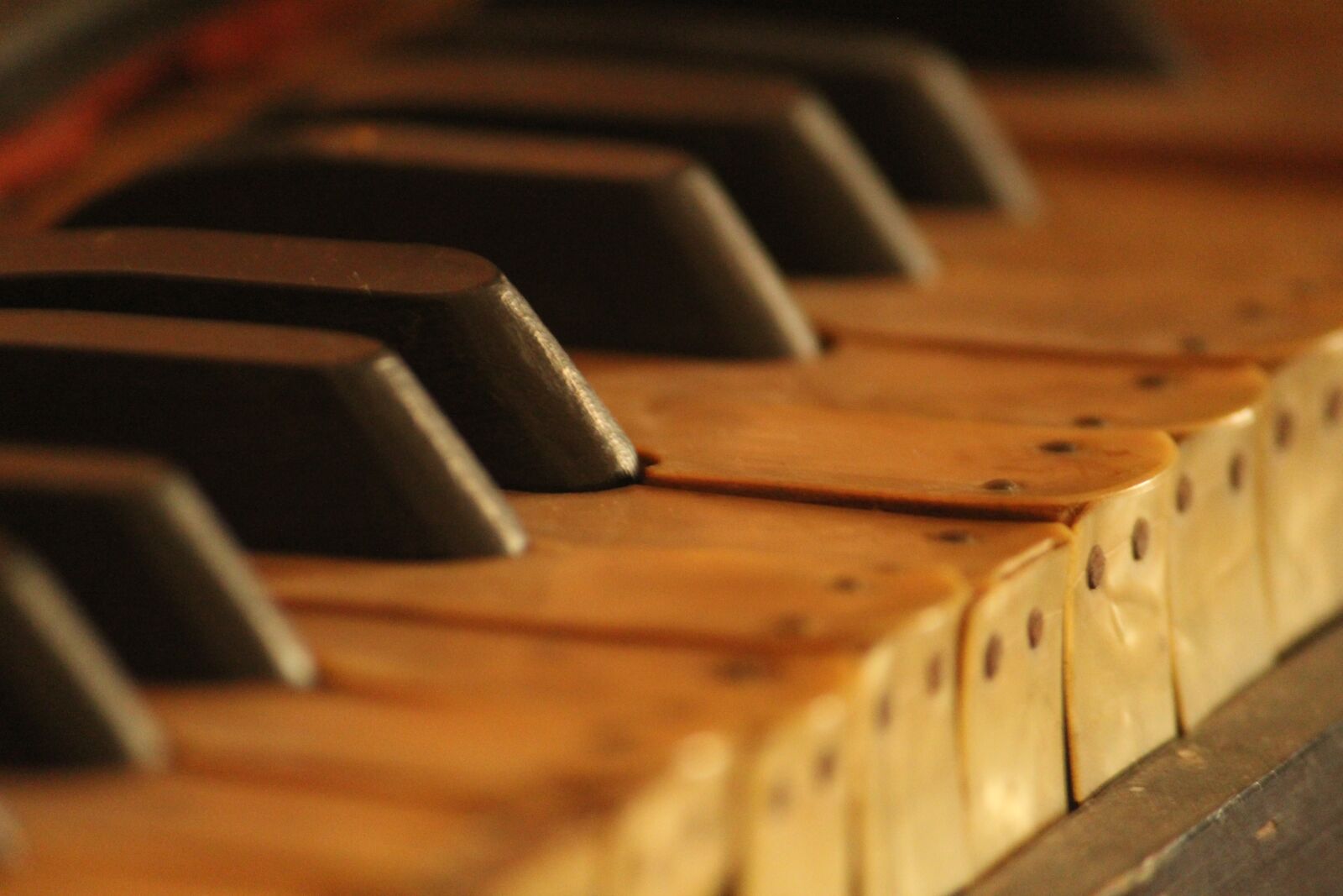 Canon EOS 1200D (EOS Rebel T5 / EOS Kiss X70 / EOS Hi) sample photo. Music, piano, vintage photography