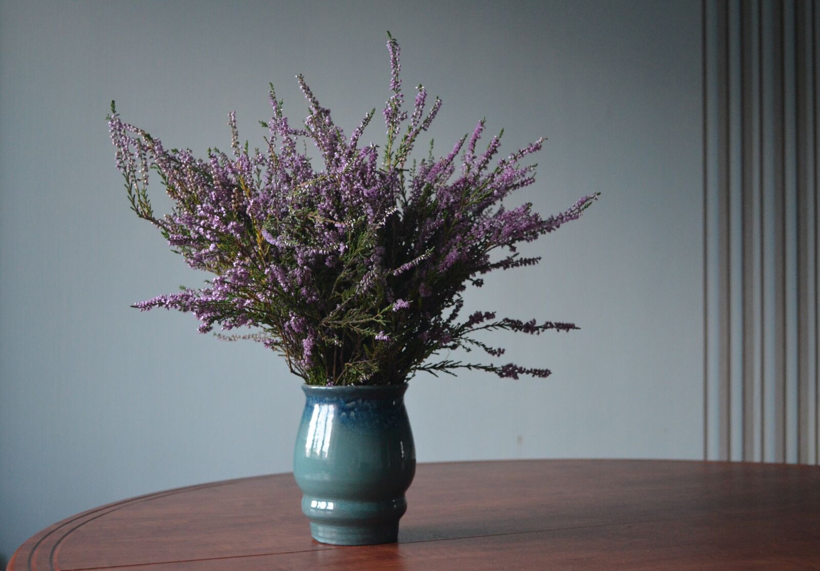 Nikon D5100 sample photo. Vase, heather, bouquet photography