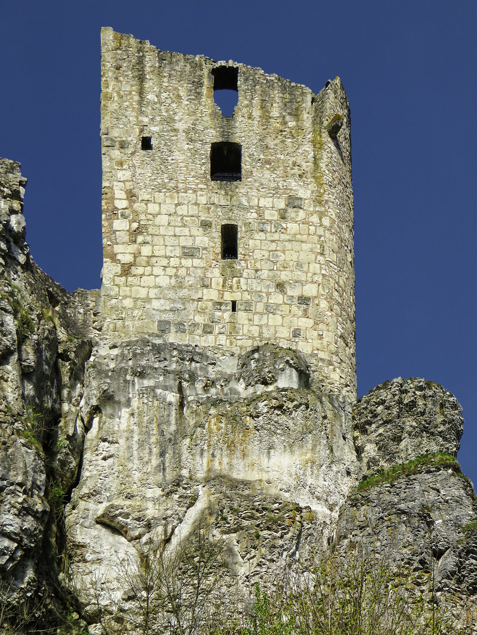 Canon PowerShot SX710 HS sample photo. Burgruine, neideck, residential tower photography