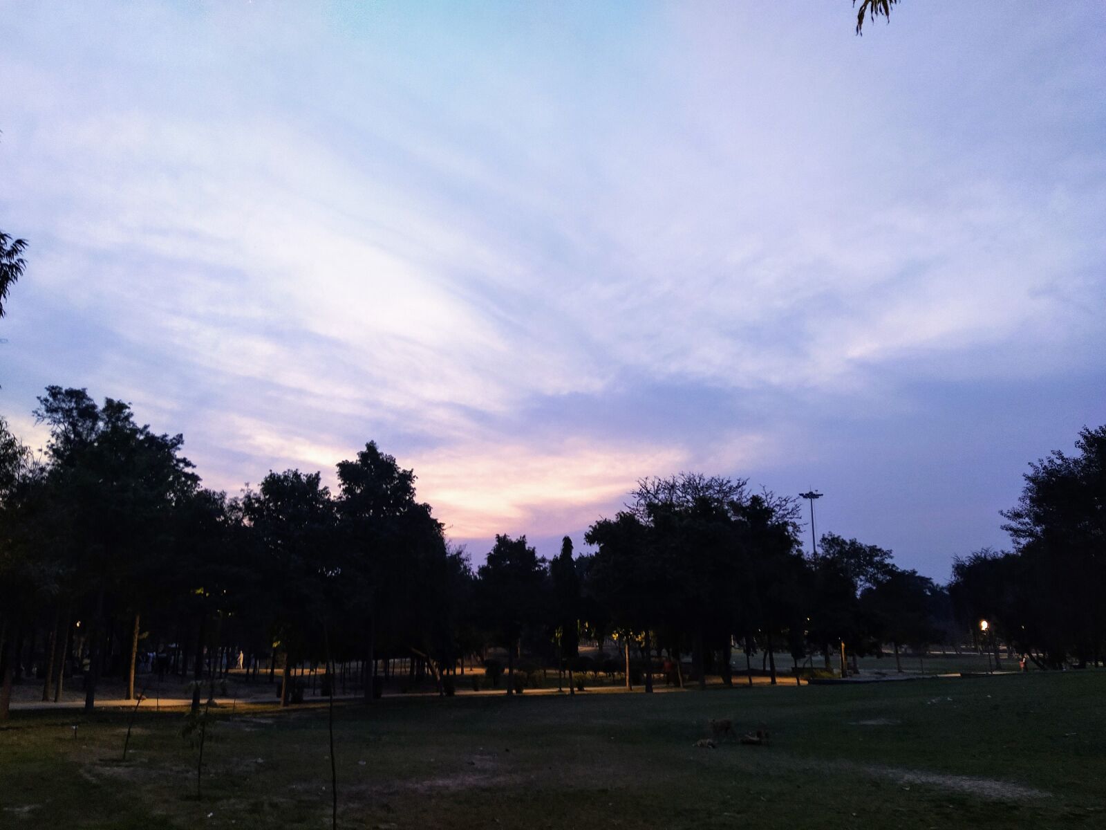 Xiaomi Mi A3 sample photo. Sky, nature, blue photography