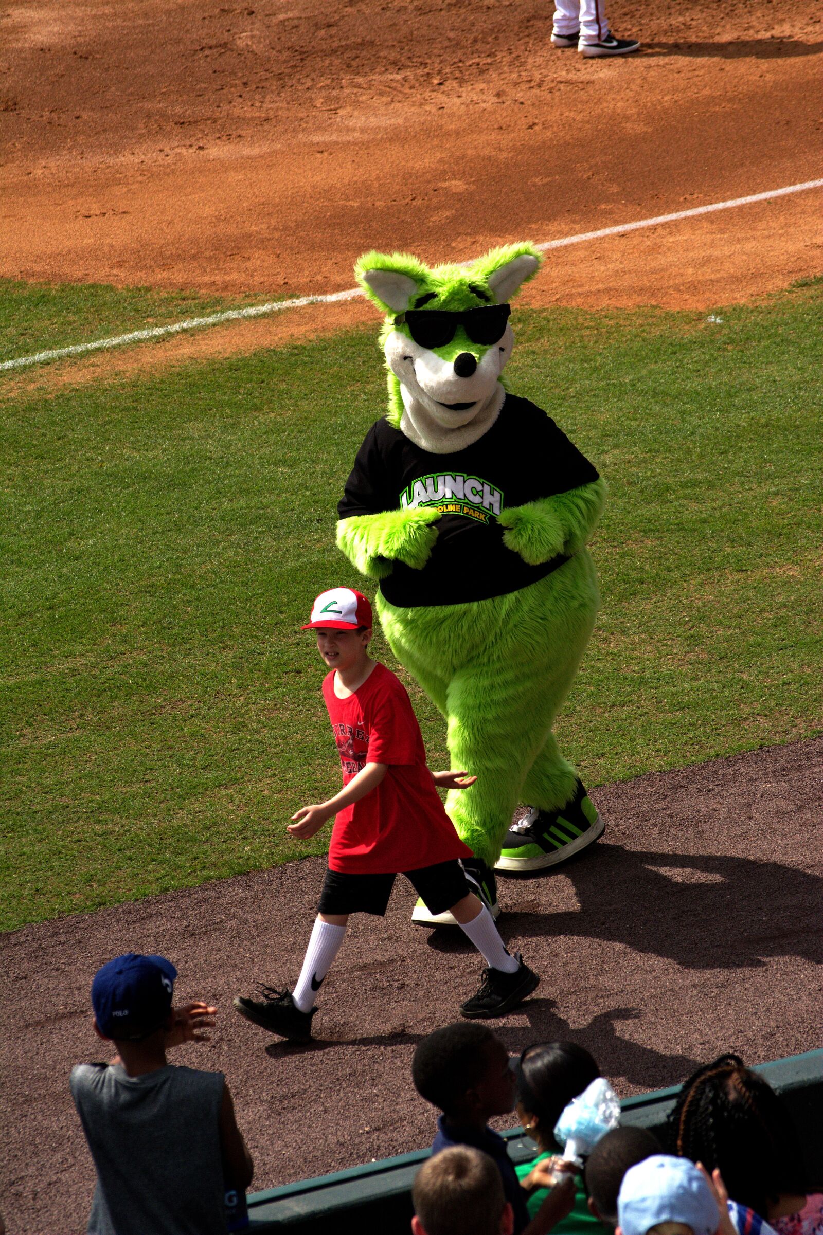 Nikon D5200 sample photo. Joey, mascot, baseball photography