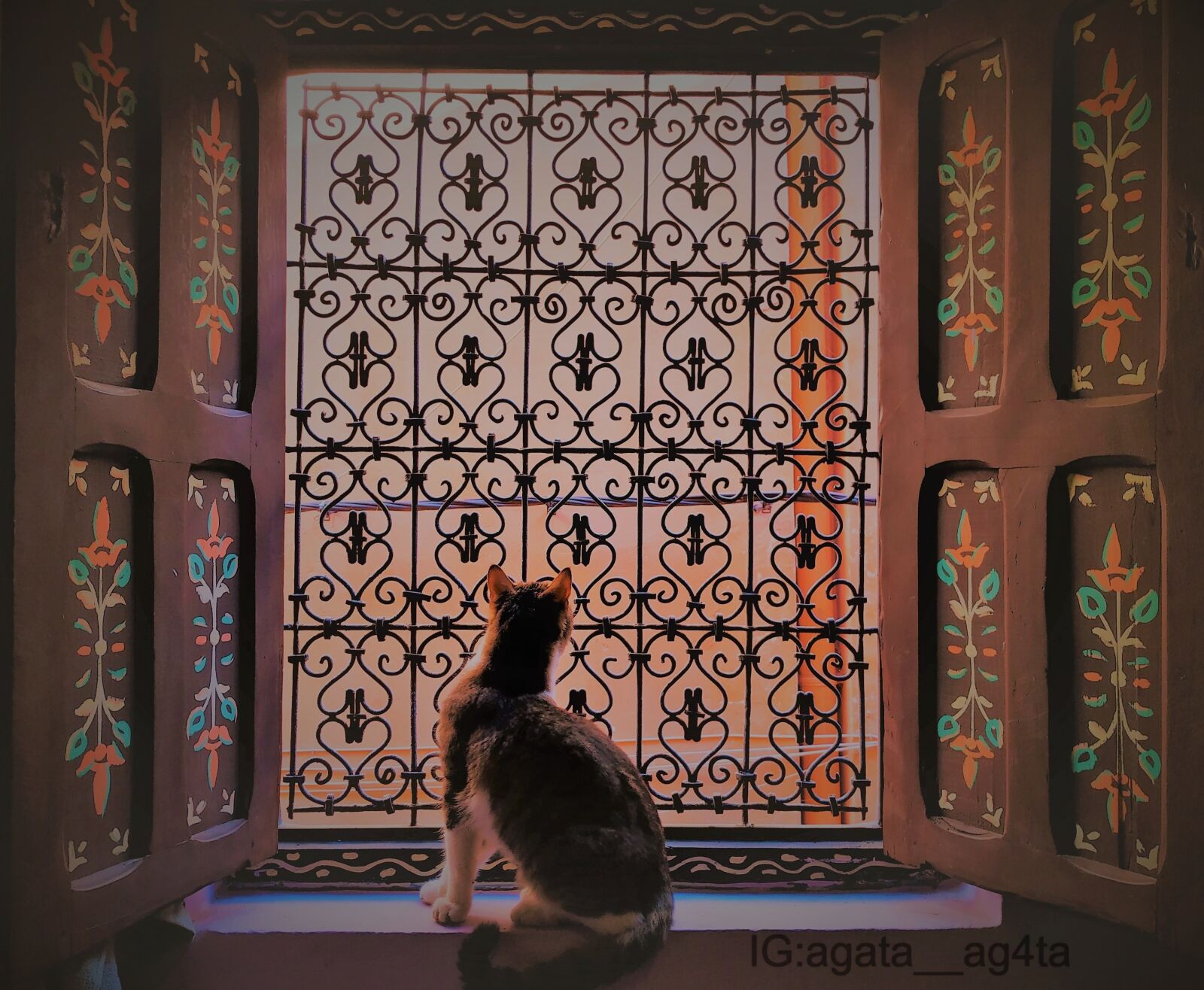 Xiaomi Redmi Note 5 sample photo. Cat cats, window, art photography