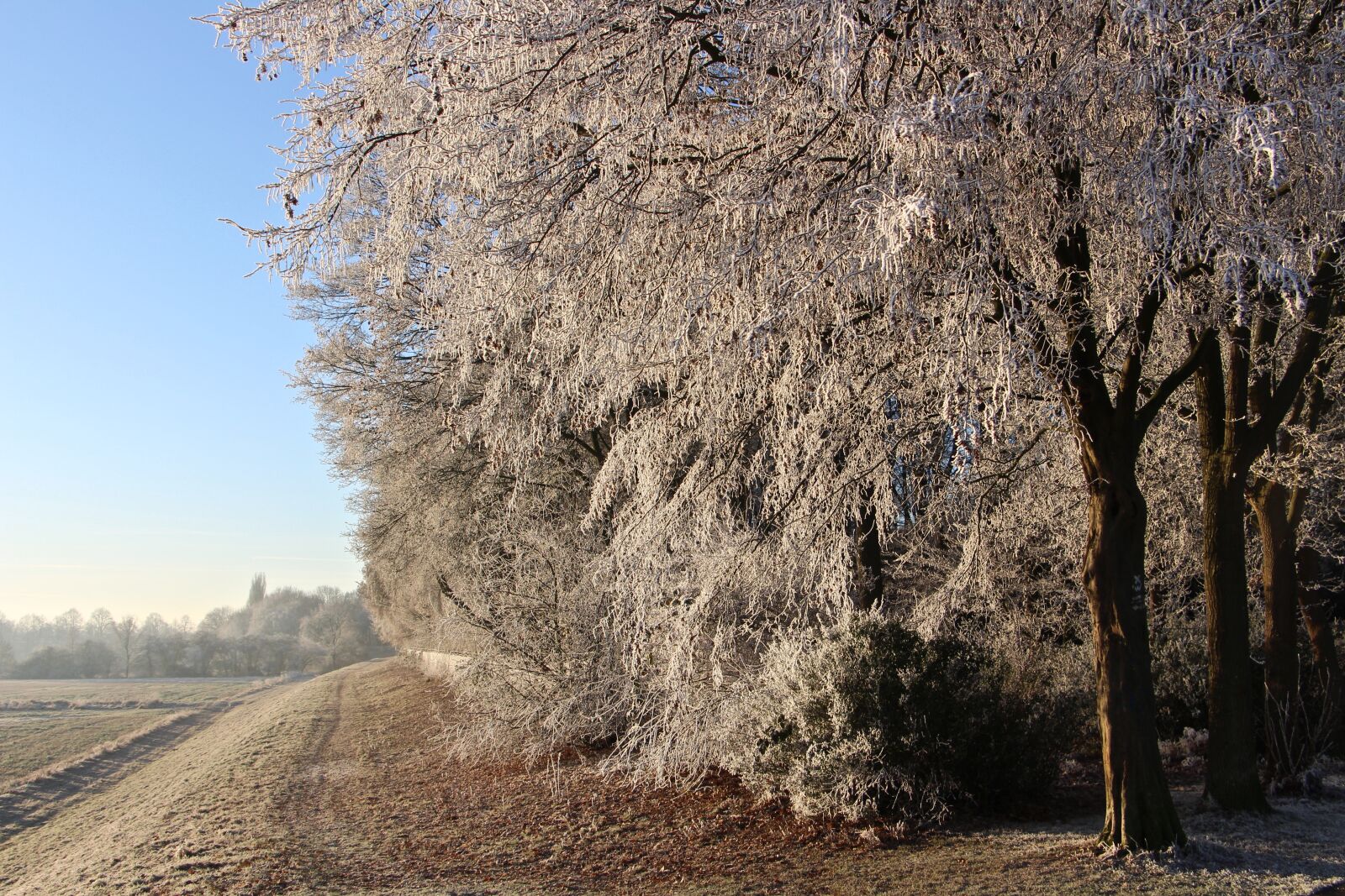 Canon EOS 700D (EOS Rebel T5i / EOS Kiss X7i) sample photo. Landscape, nature, winter photography