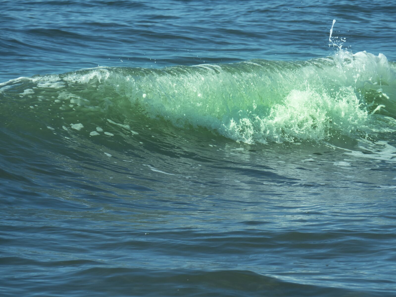 Olympus OM-D E-M5 II sample photo. Wave, green, sea photography