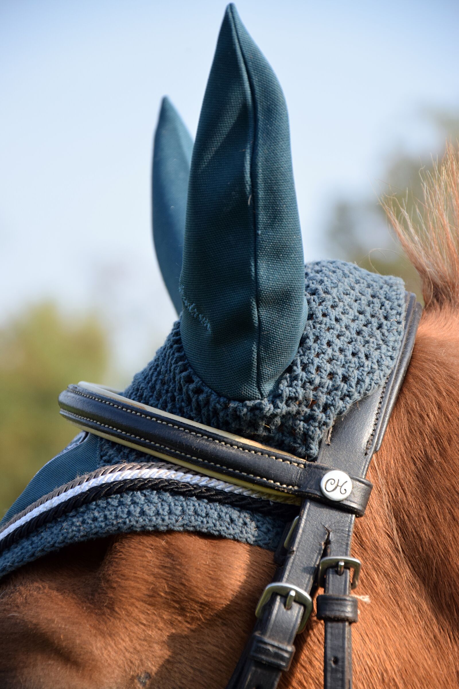 Nikon D3300 sample photo. Horse, ears, flying hat photography