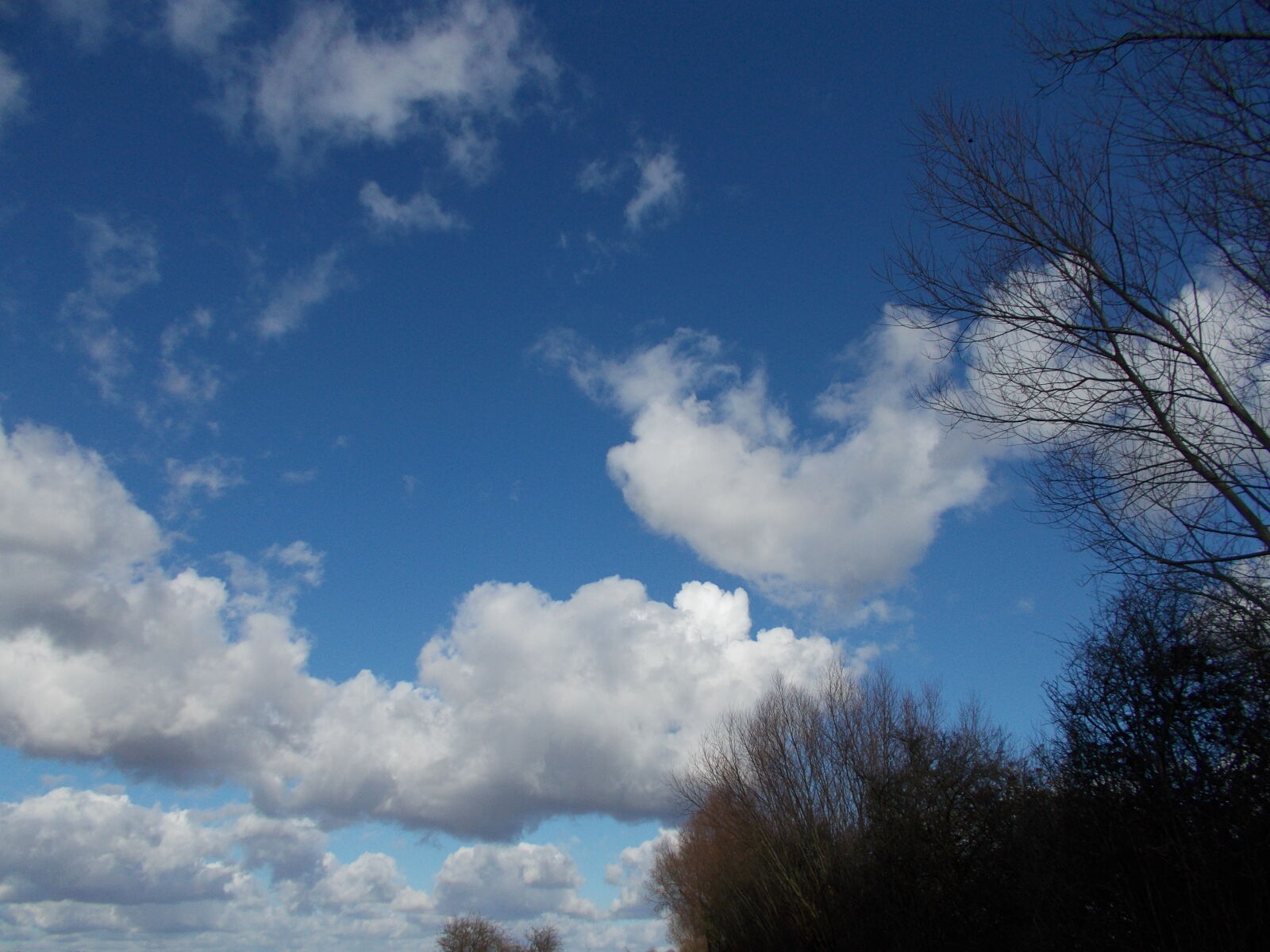 Nikon Coolpix L31 sample photo