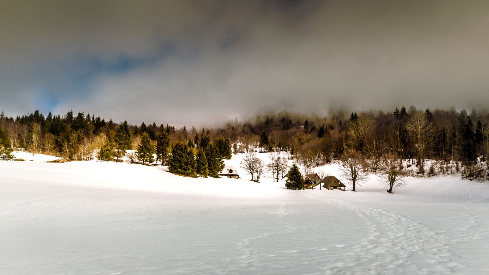 Nikon D750 sample photo. Landscape, winter, nature photography