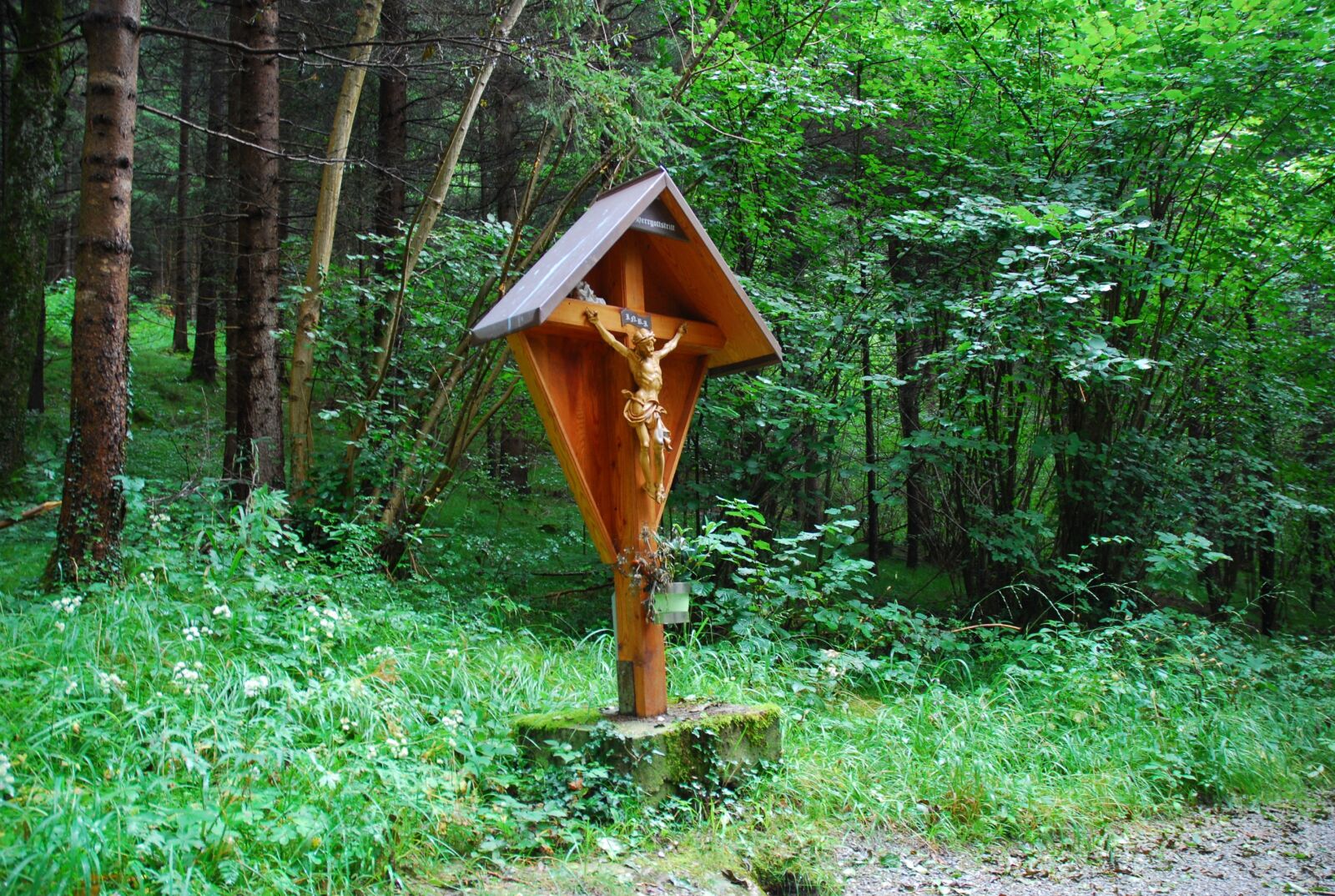 Nikon D80 sample photo. Wood, nature, tree photography
