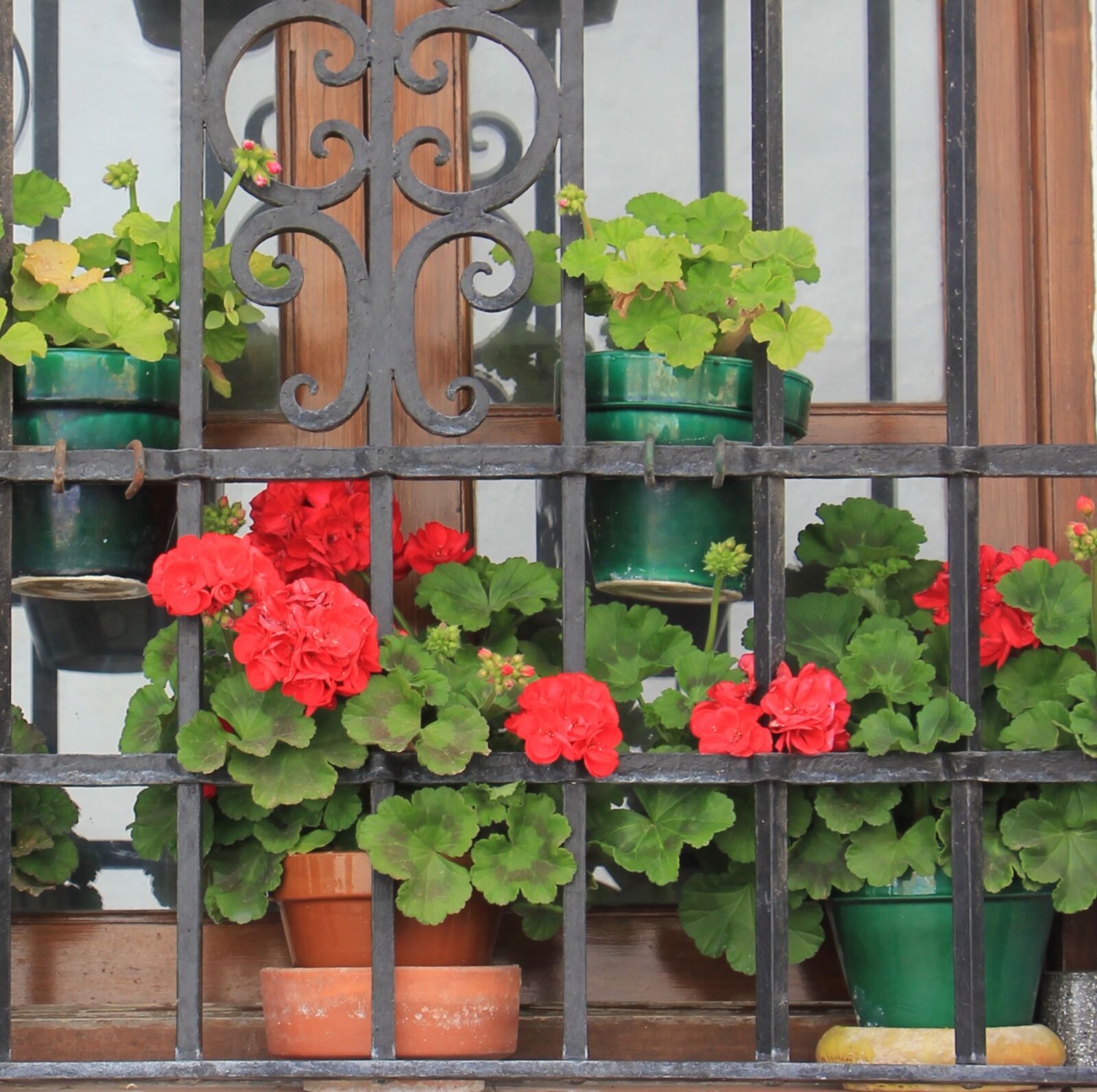 Canon EOS 550D (EOS Rebel T2i / EOS Kiss X4) sample photo. Flower, window box, spain photography