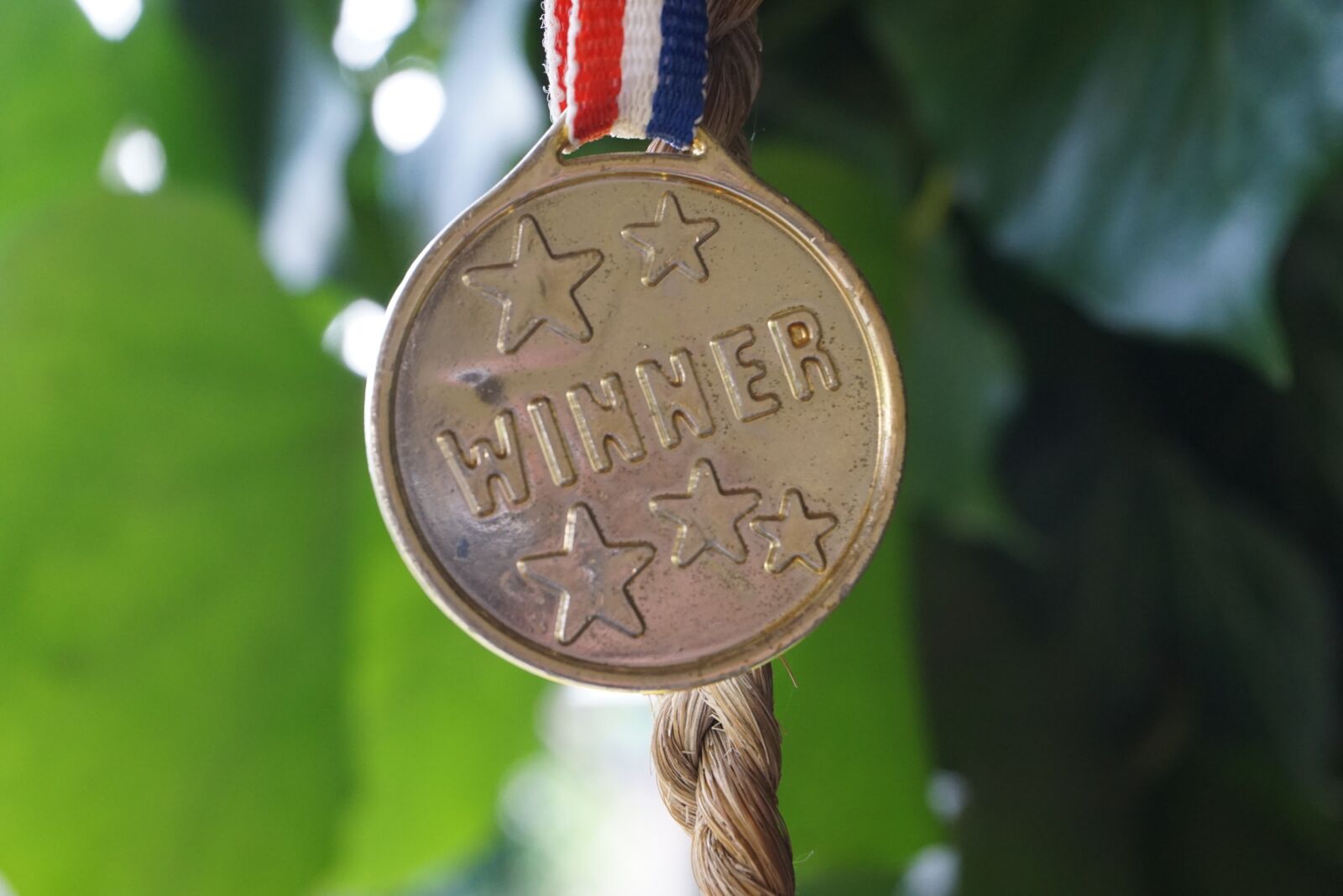 Sony a6000 sample photo. Winner, gold, profit photography