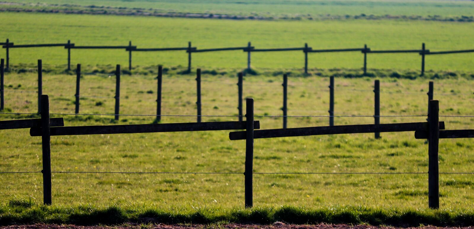 Canon EOS 200D (EOS Rebel SL2 / EOS Kiss X9) sample photo. Pasture fences, fences, wood photography
