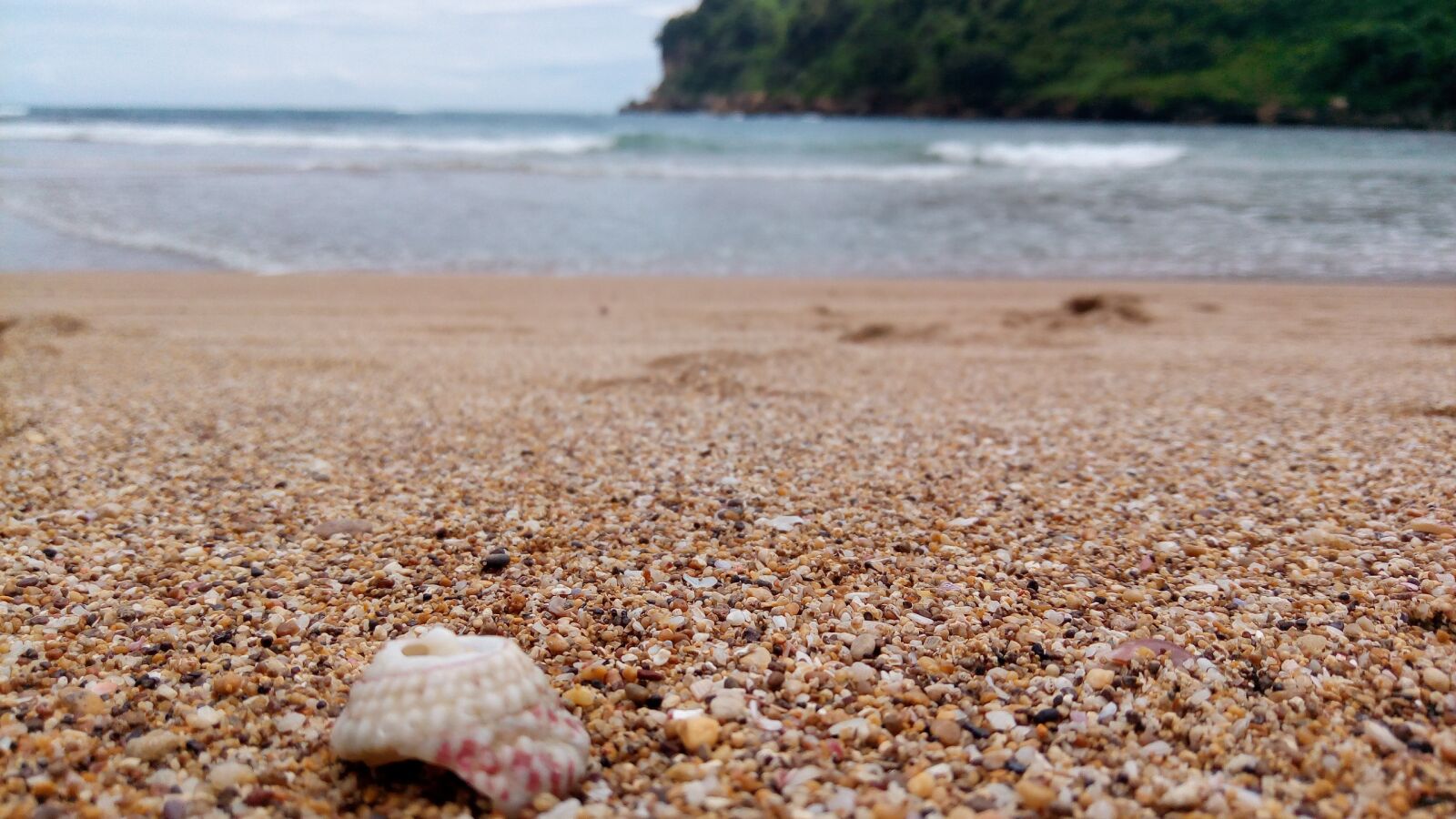 ASUS ZenFone 3 Max (ZC520TL) sample photo. Beach, shell photography
