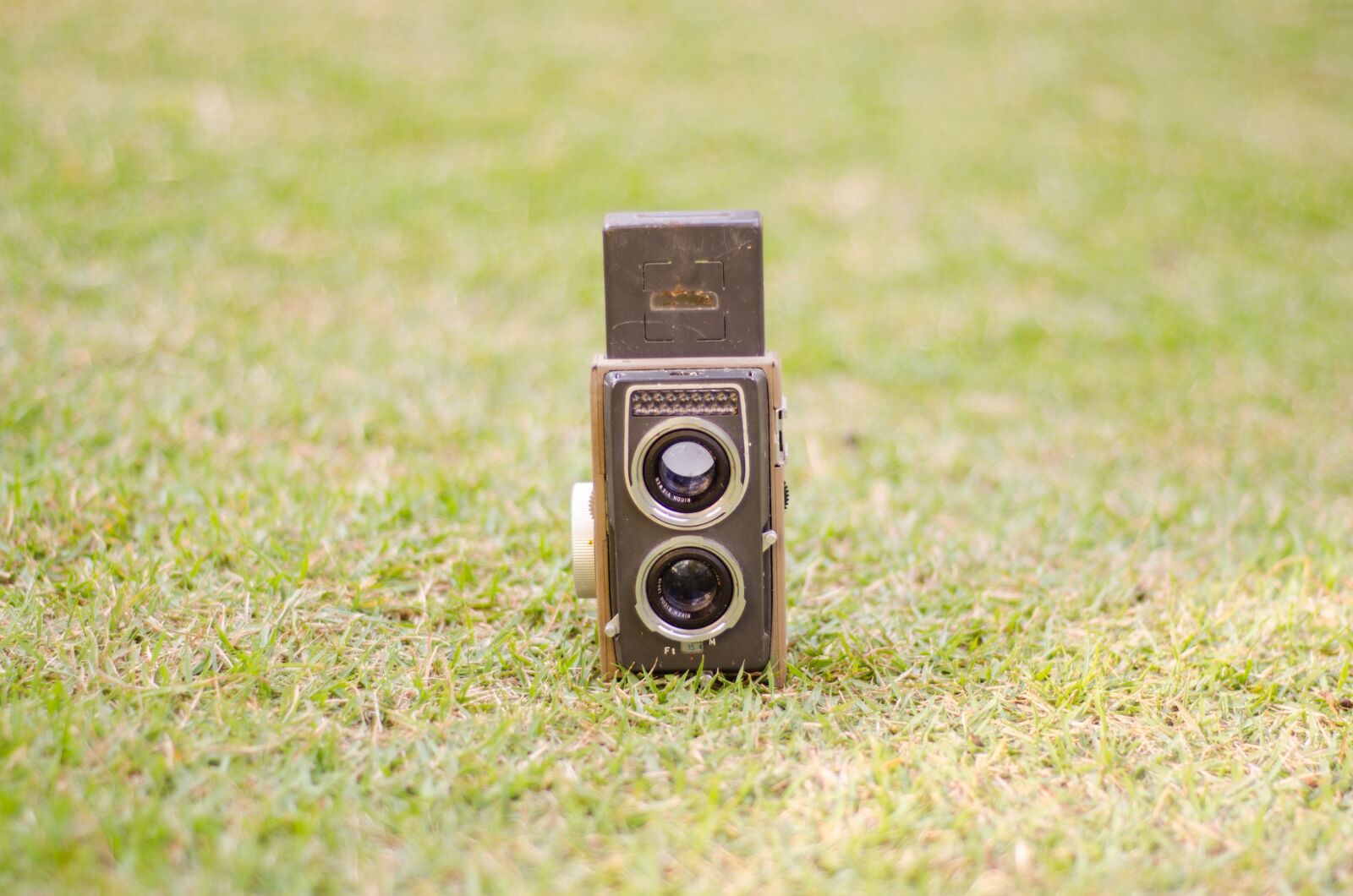 Nikon D7000 sample photo. Grass, photo, photography photography