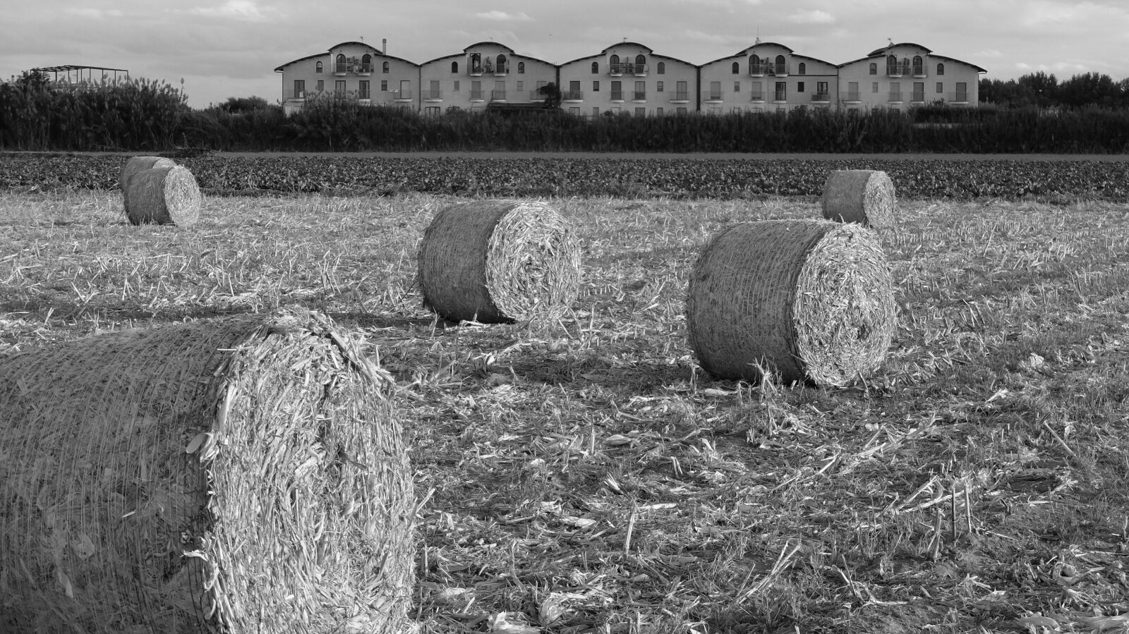 Fujifilm X20 sample photo. Field, straw bales, campaign photography