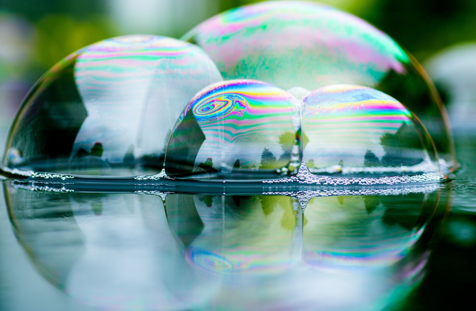 Pentax KP sample photo. Soap bubbles, mirroring, reflection photography