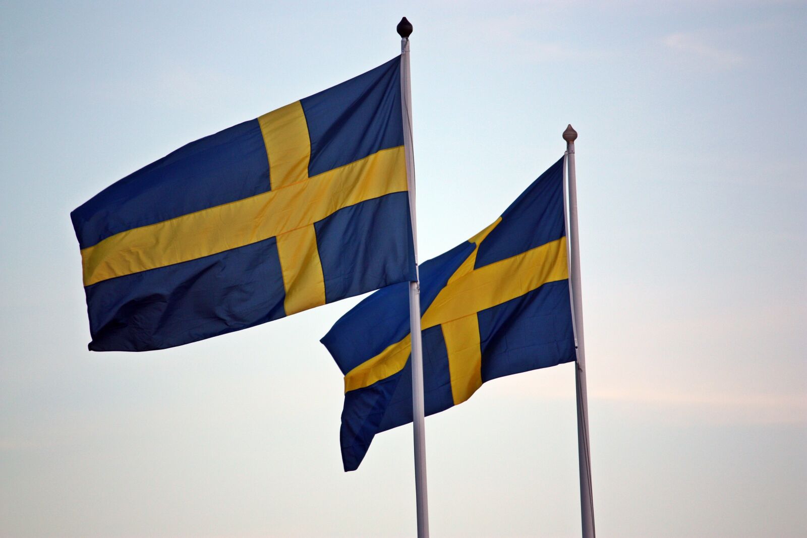 Canon EOS 450D (EOS Rebel XSi / EOS Kiss X2) sample photo. Flags, sweden, swedish flag photography