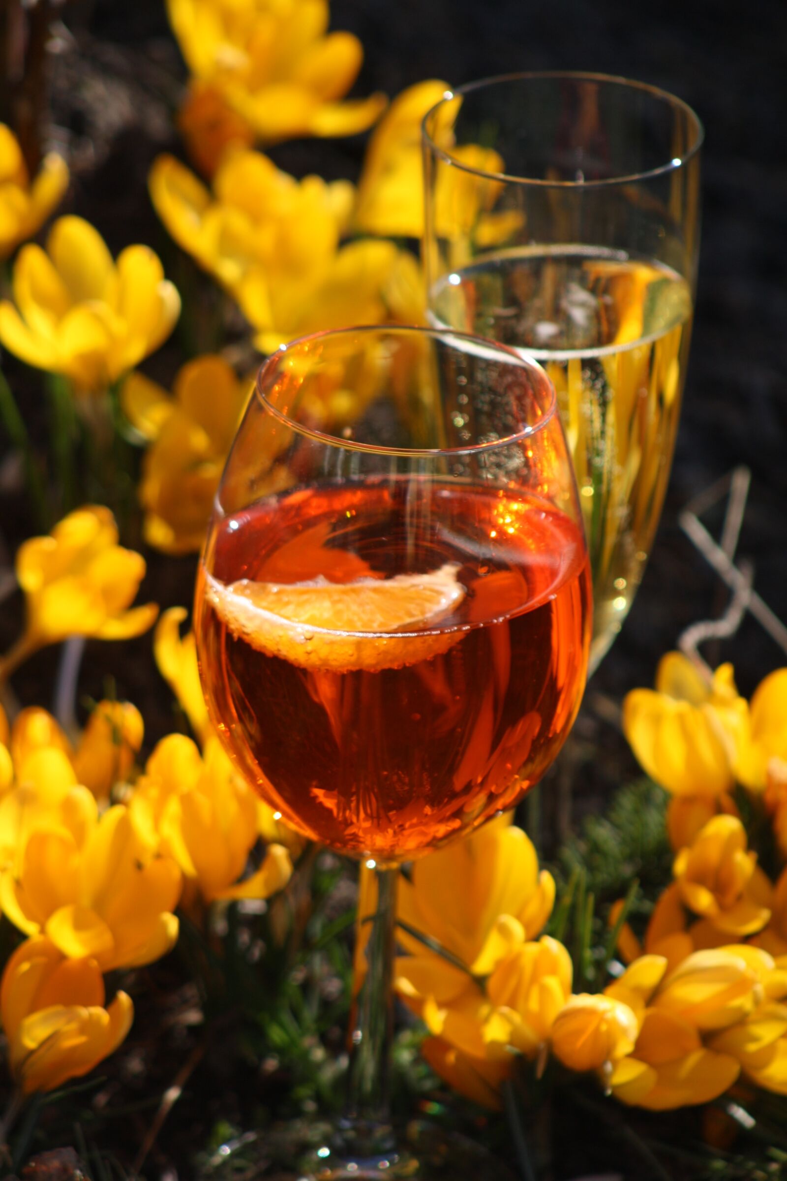 Canon EOS 1000D (EOS Digital Rebel XS / EOS Kiss F) sample photo. Glass, flower, wine photography