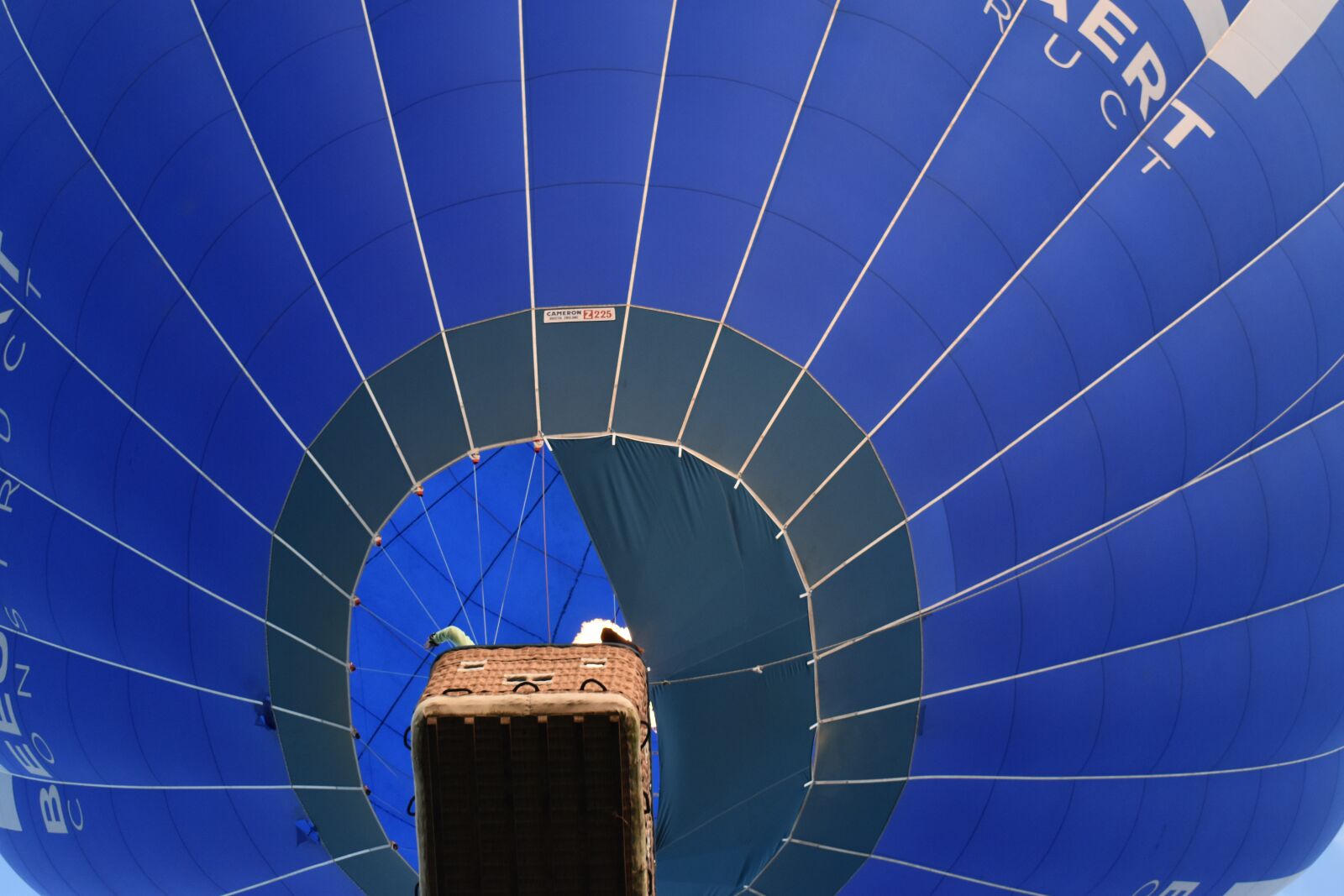 Nikon D3500 sample photo. Hot air balloon, balloon photography