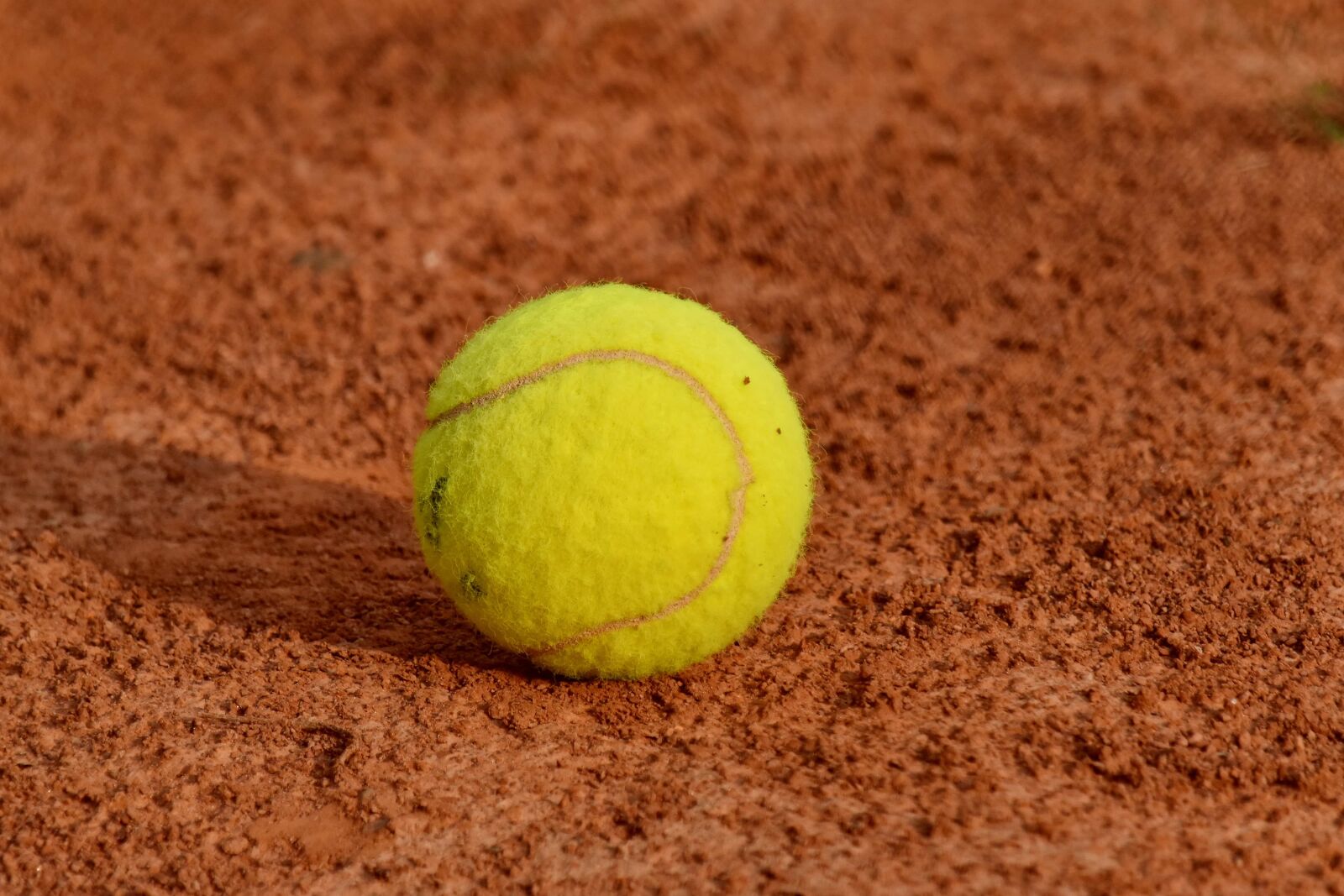 Nikon D5500 sample photo. Ball, competition, game, sport photography