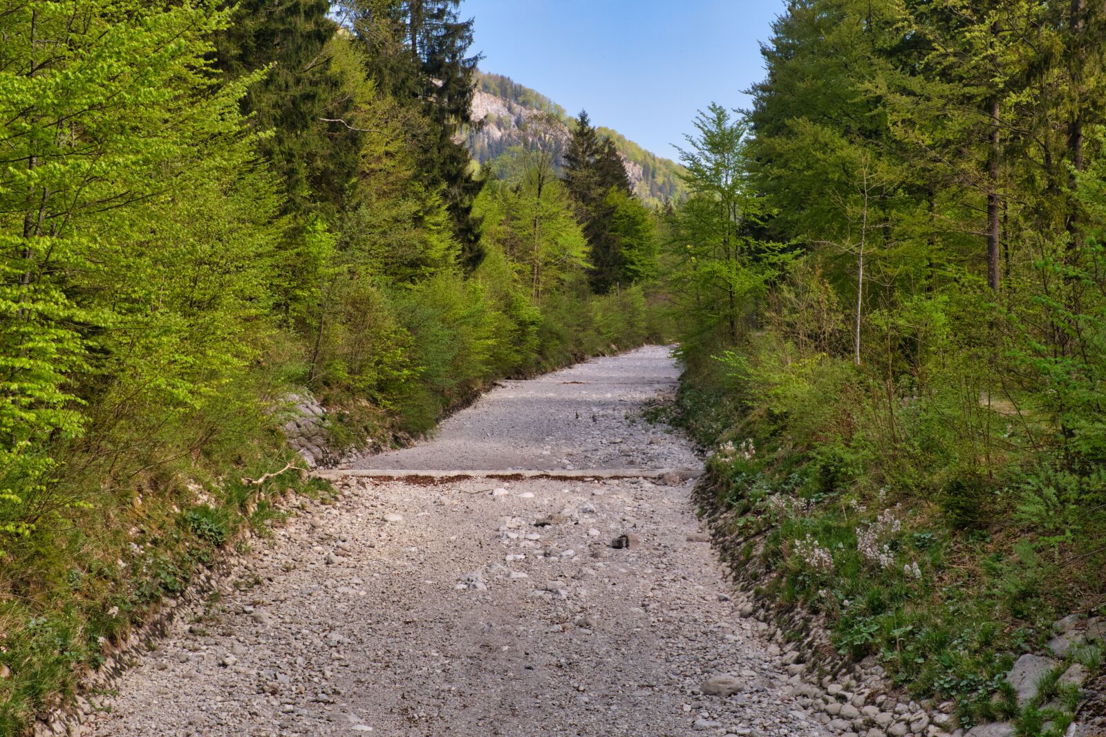 Nikon D7500 sample photo. Riverbed, water bed, stones photography