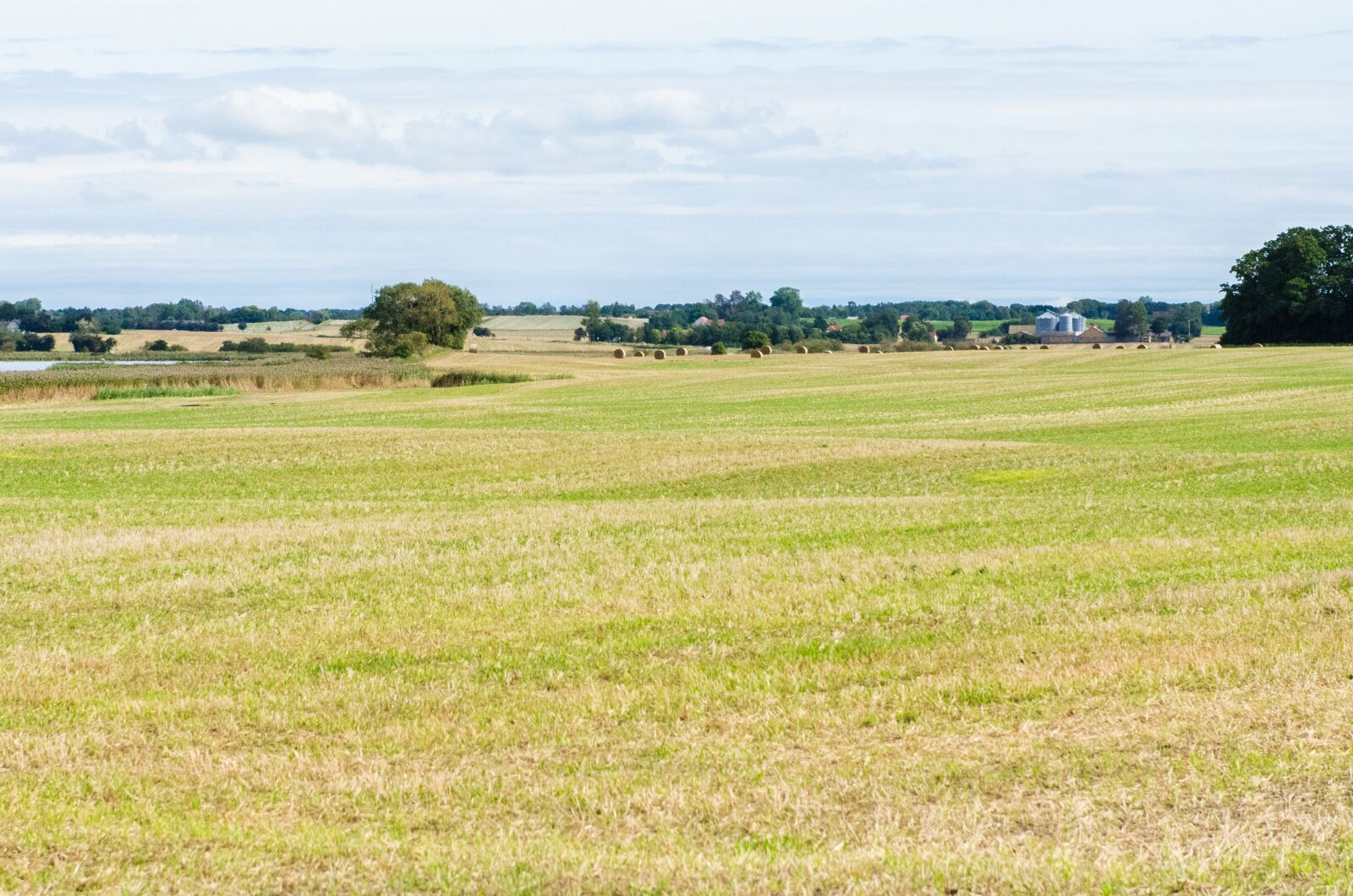 Nikon D7000 sample photo. Field, harvest, agriculture photography