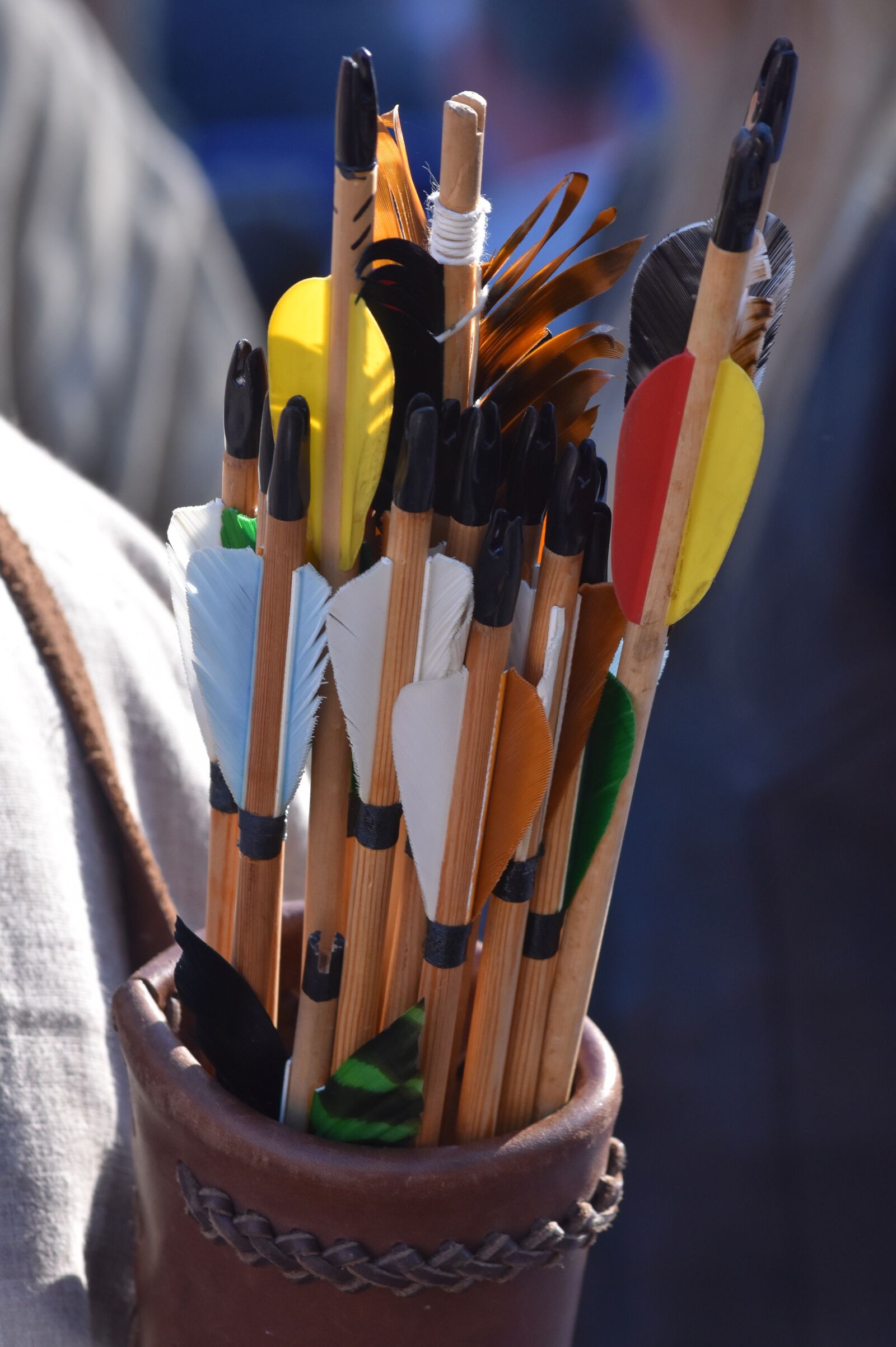 Nikon D7200 sample photo. Arrows, plumes, indian photography