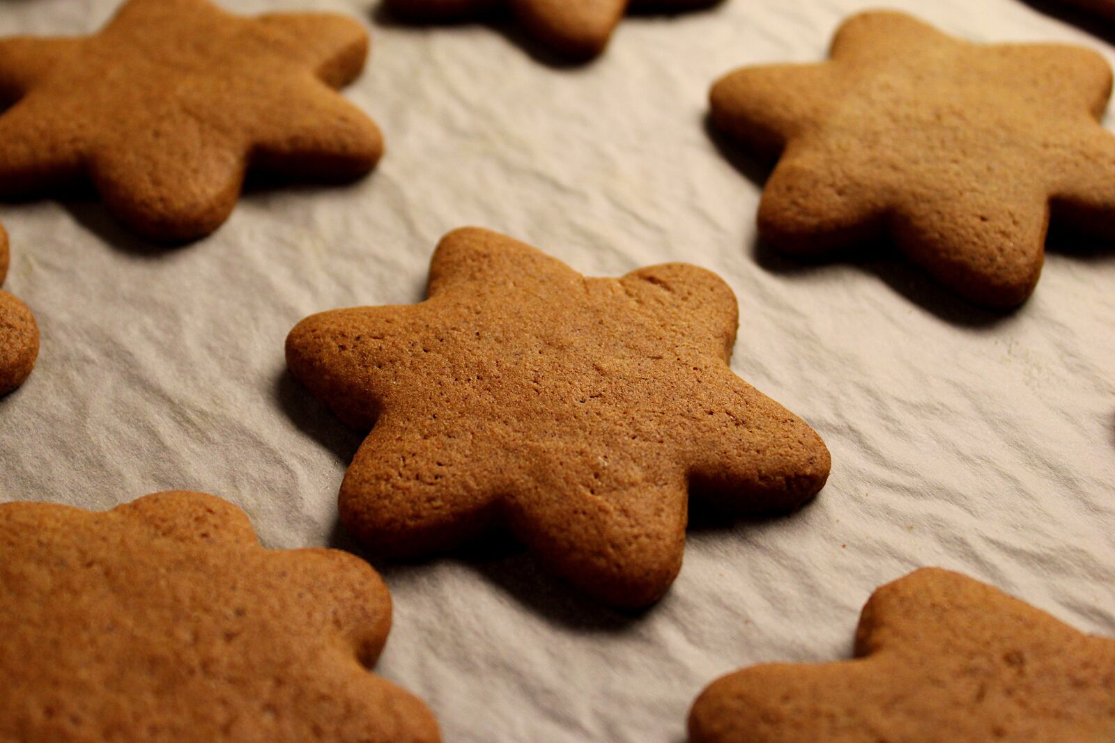 Canon EOS 2000D (EOS Rebel T7 / EOS Kiss X90 / EOS 1500D) sample photo. Gingerbread, baking, cookies photography
