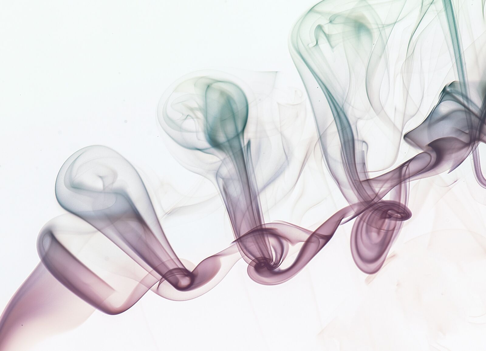 Nikon D800 sample photo. Forms, smoke, winding photography