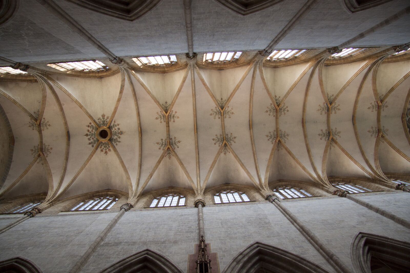 Canon EOS 50D sample photo. Ulmer, münster, architecture photography