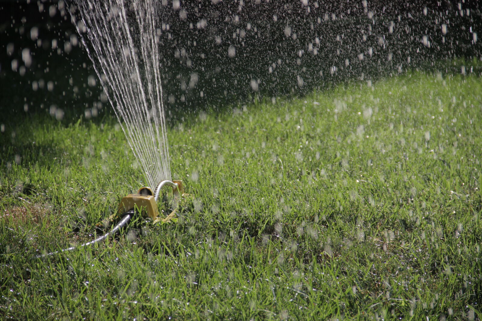 Canon EOS 7D sample photo. Grass, lawn, spring, sprinkler photography