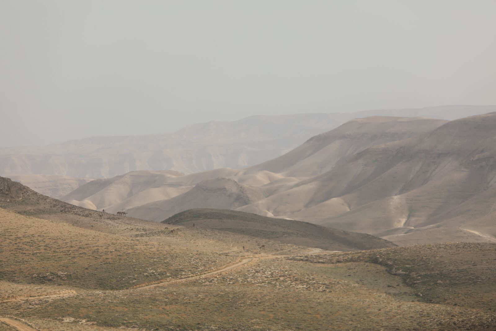 Canon EF 70-200mm F2.8L USM sample photo. Desert, mounts, nature photography
