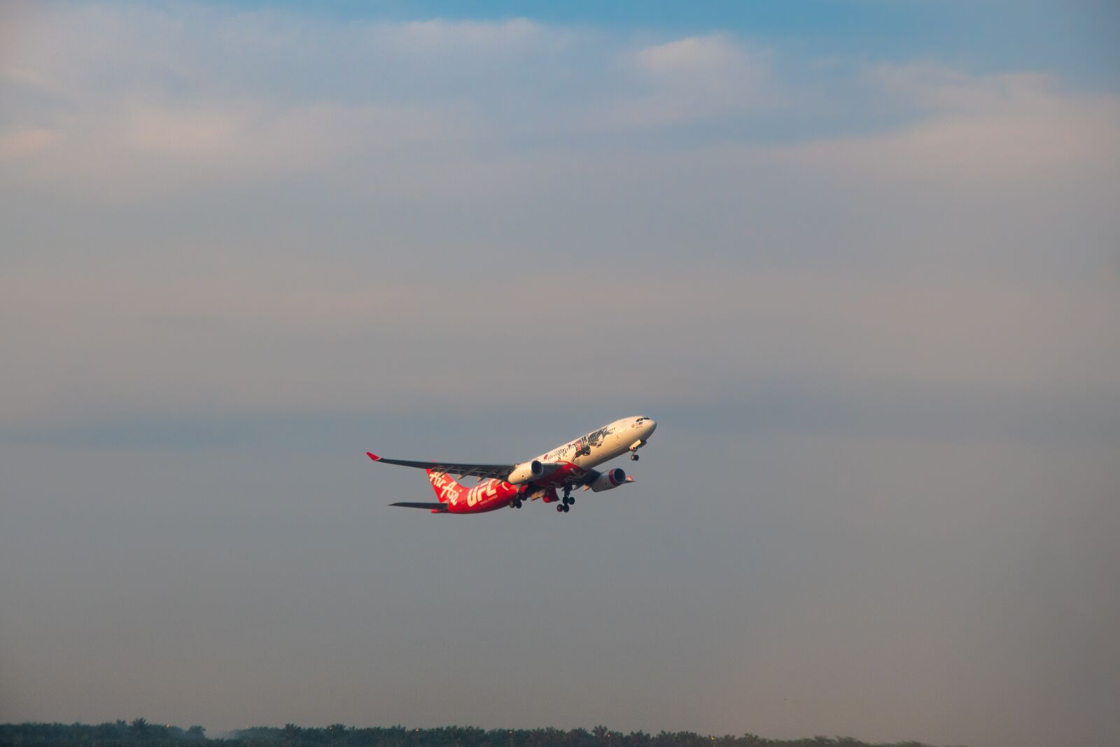 Nikon D500 sample photo. Fly, flight, freedom photography