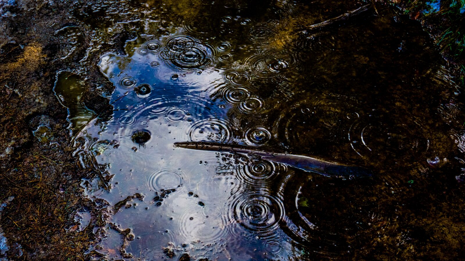 Sony a6000 sample photo. Puddle, water, rain photography