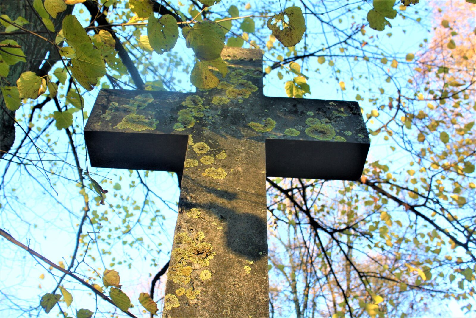 Canon EOS 1000D (EOS Digital Rebel XS / EOS Kiss F) sample photo. Headstone, patina, moss photography