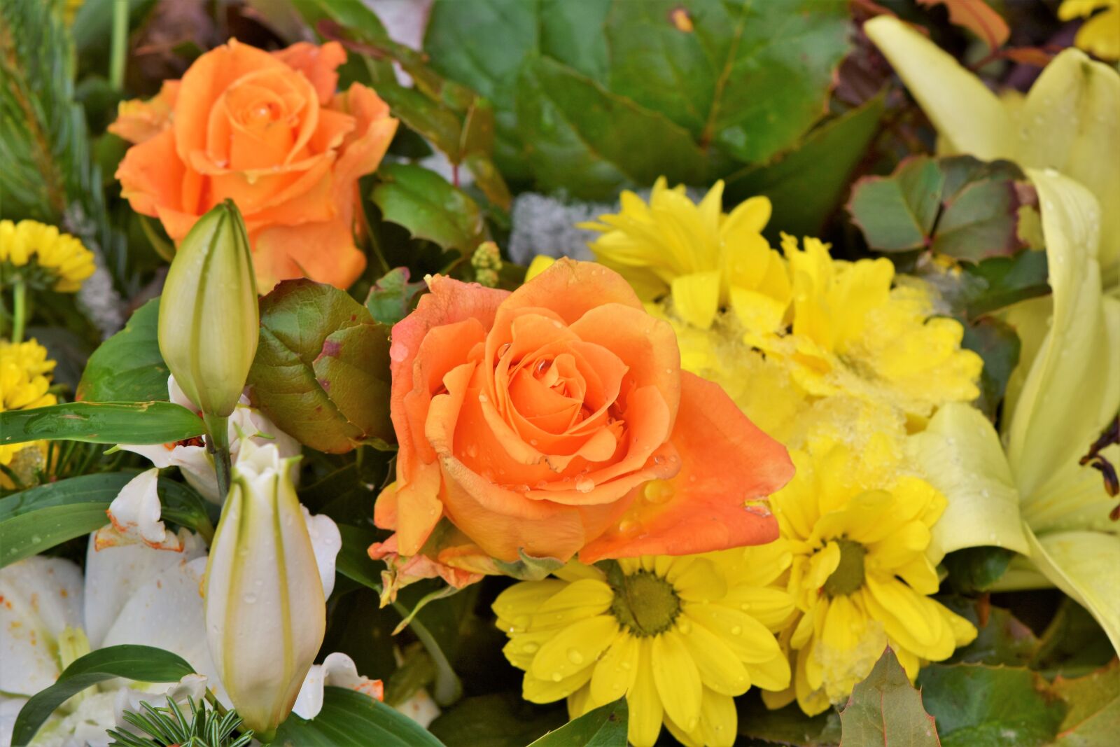 Nikon D7200 sample photo. Rose, bouquet, bouquet of photography