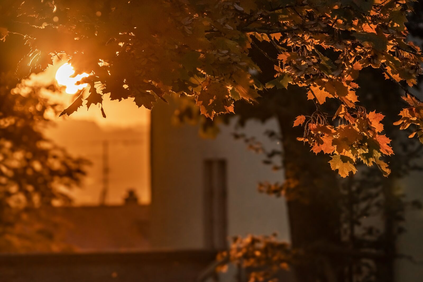 Sony a7 III + Sony FE 70-200mm F4 G OSS sample photo. Sunset, nature, city photography
