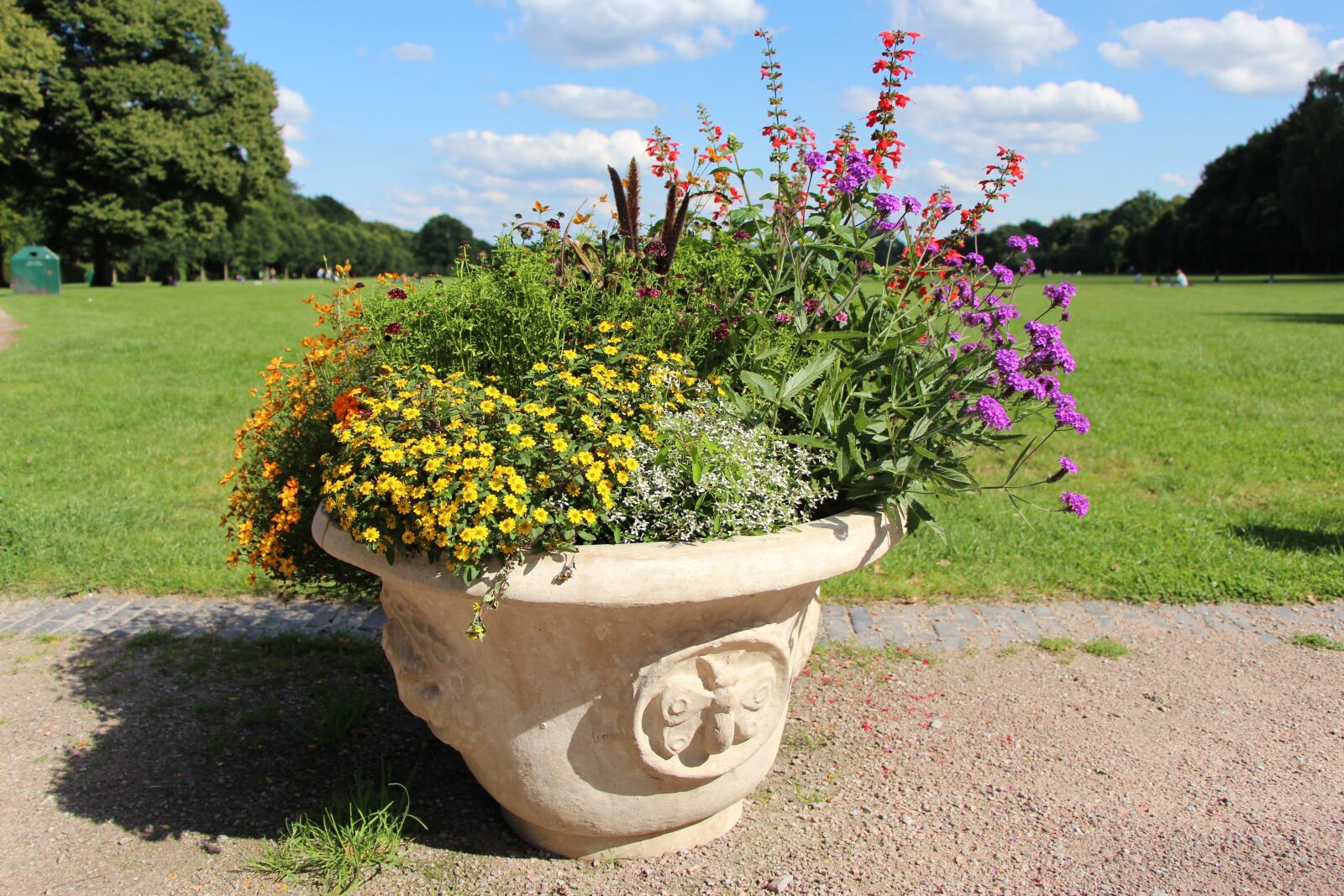 Canon EOS 650D (EOS Rebel T4i / EOS Kiss X6i) sample photo. Flowers, park, garden photography