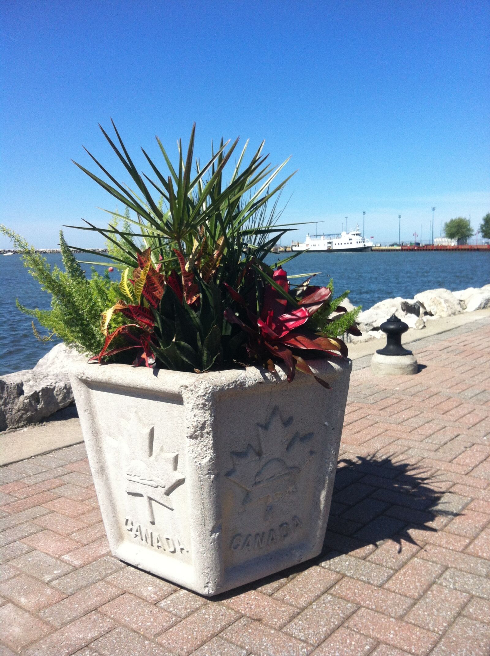 iPhone 4 back camera 3.85mm f/2.8 sample photo. Planter, flowers, canada photography