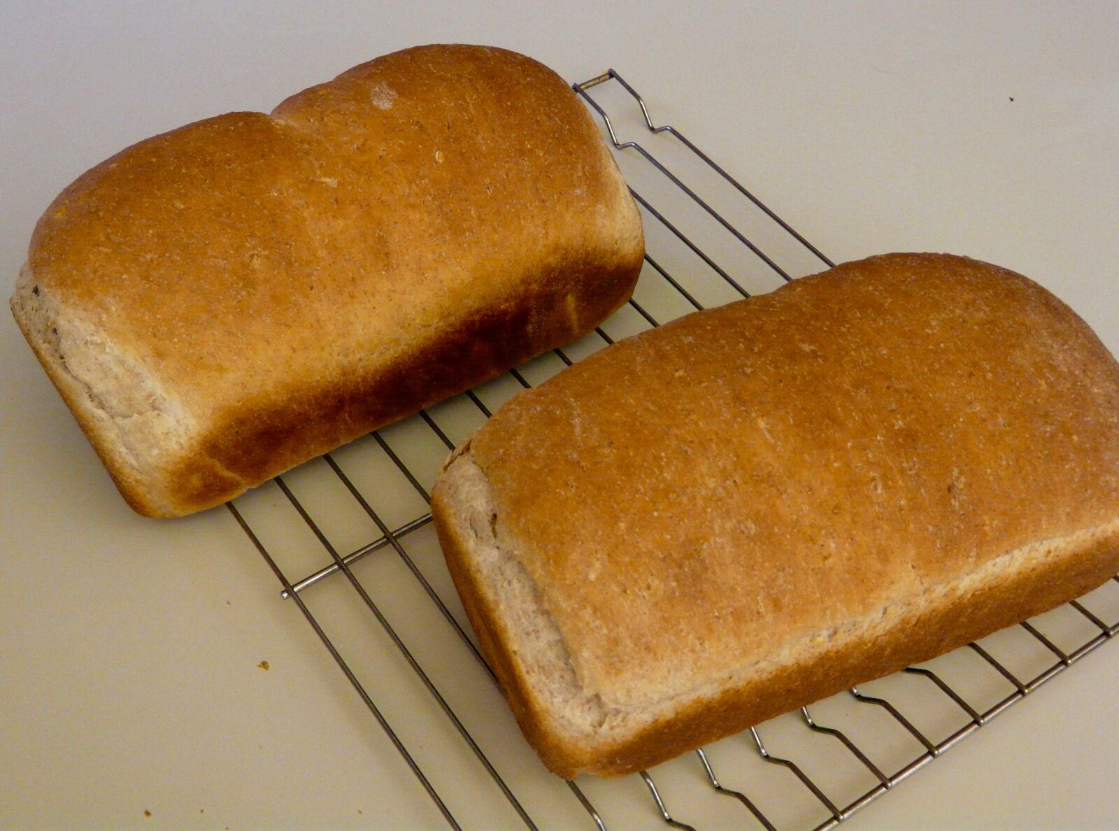 Panasonic DMC-FZ18 sample photo. Bread, food, still, life photography