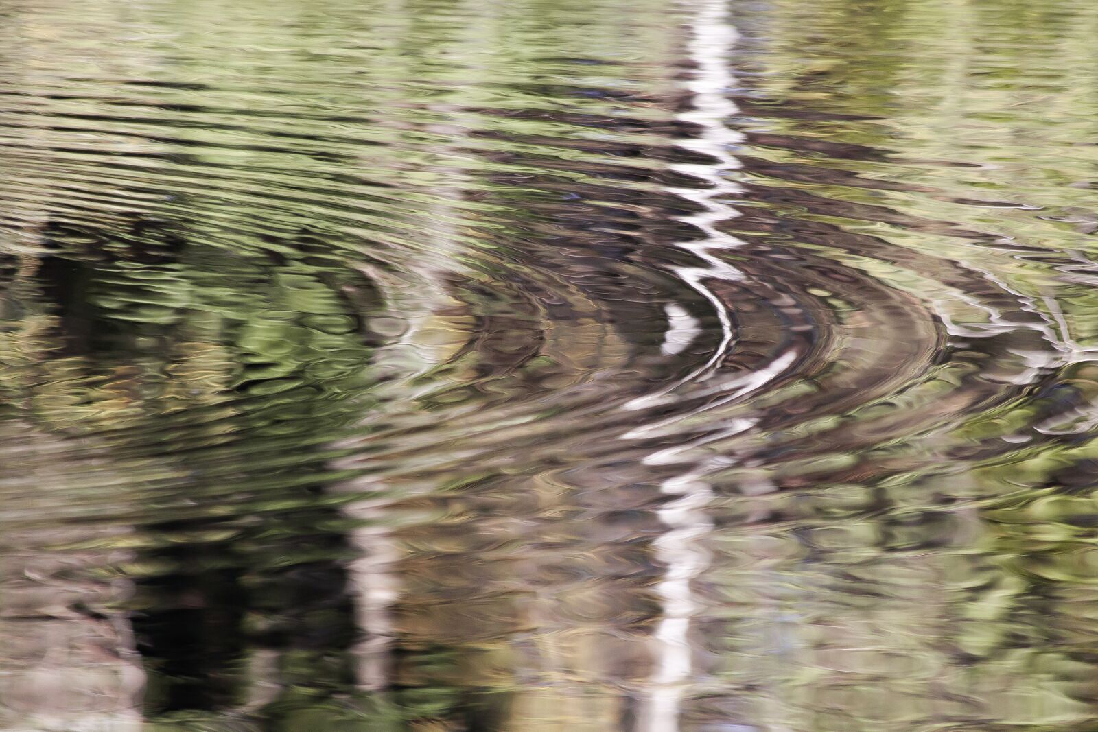 Canon EOS 50D sample photo. Mirroring, fund, background photography